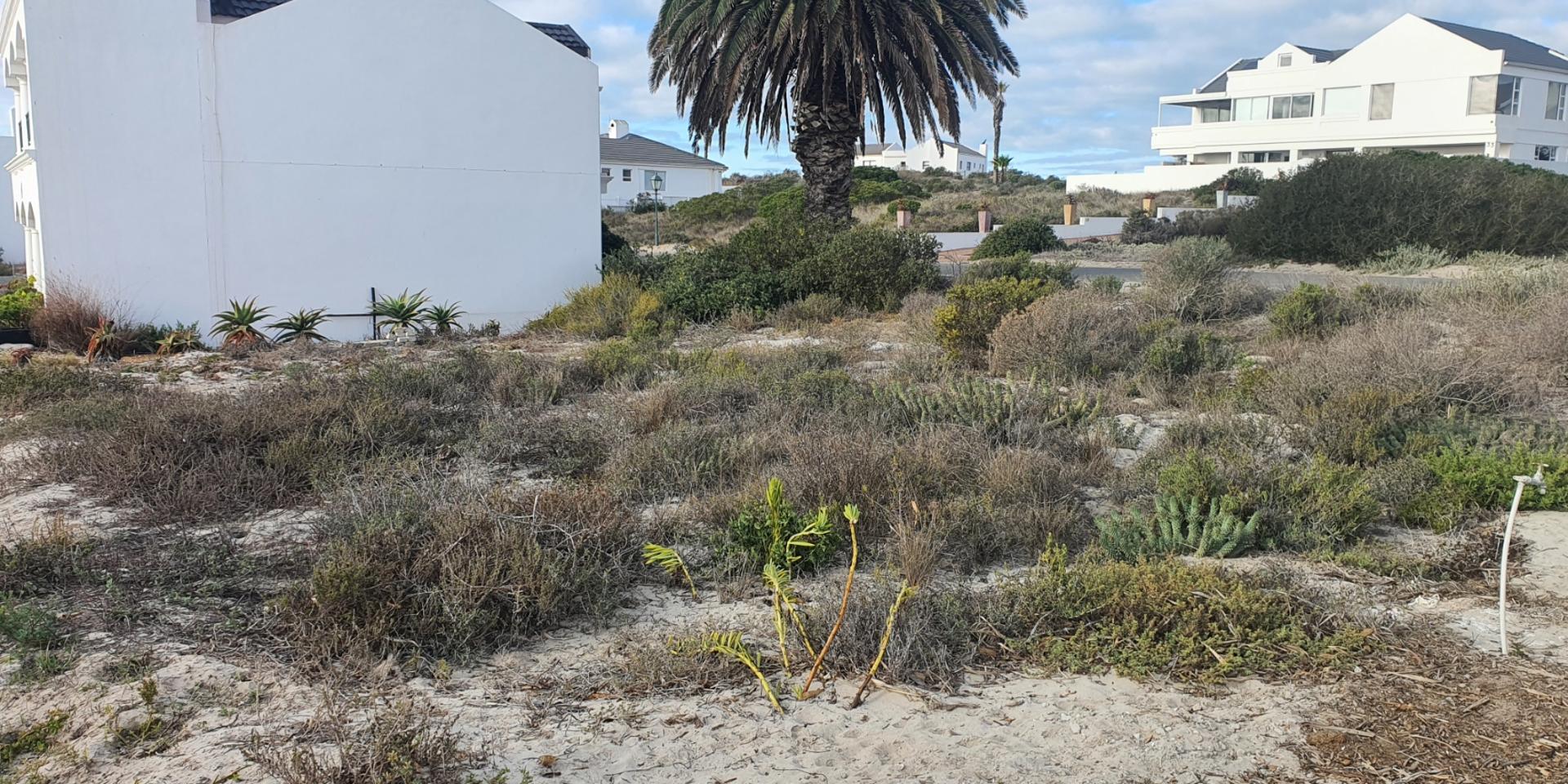 Image 2 of 6