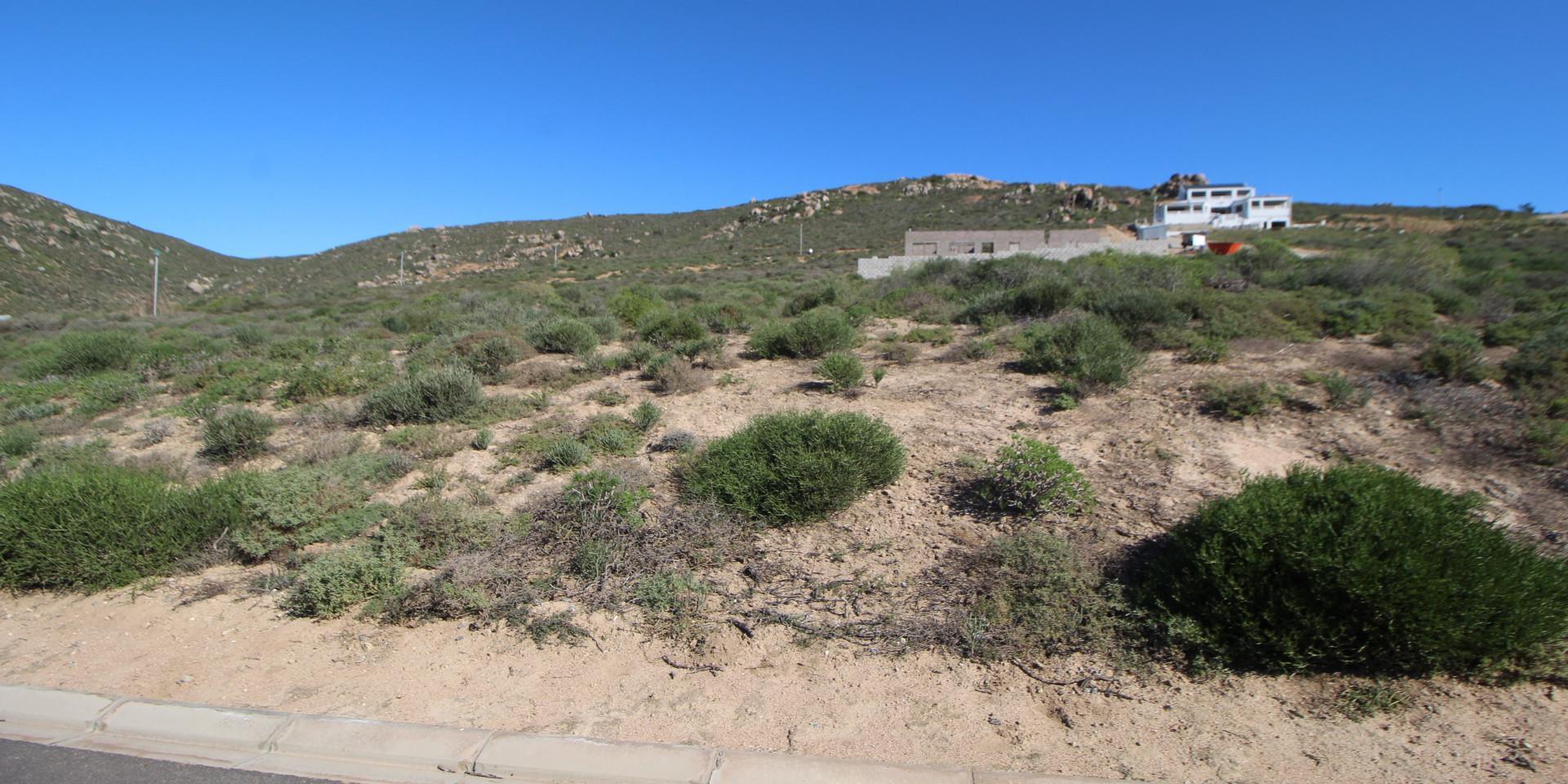 Image 3 of 6