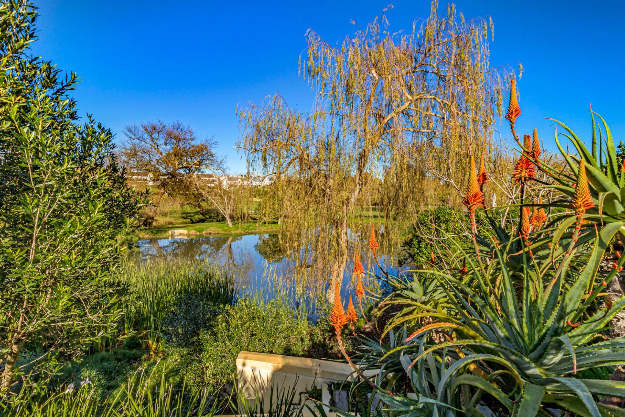 Image 102