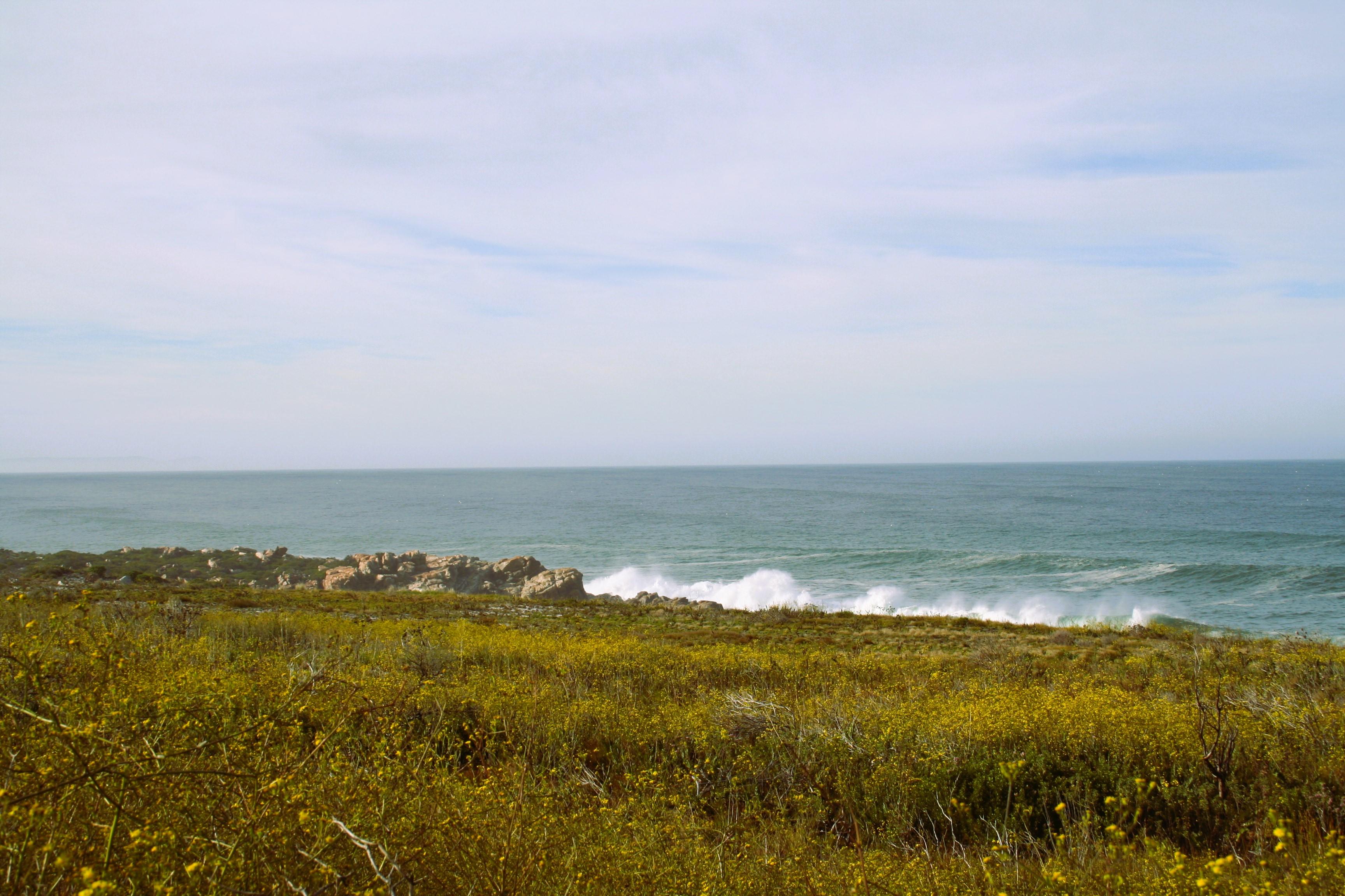 Image 8