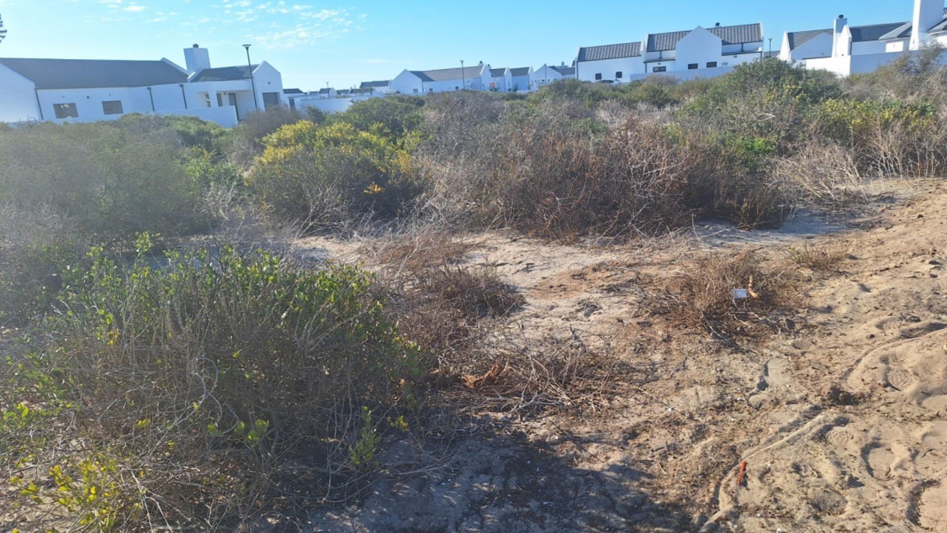 Image 9