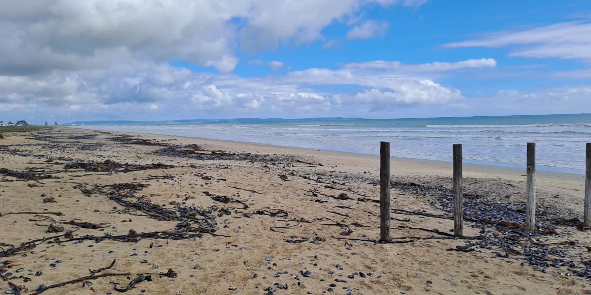 Image 3 of 6