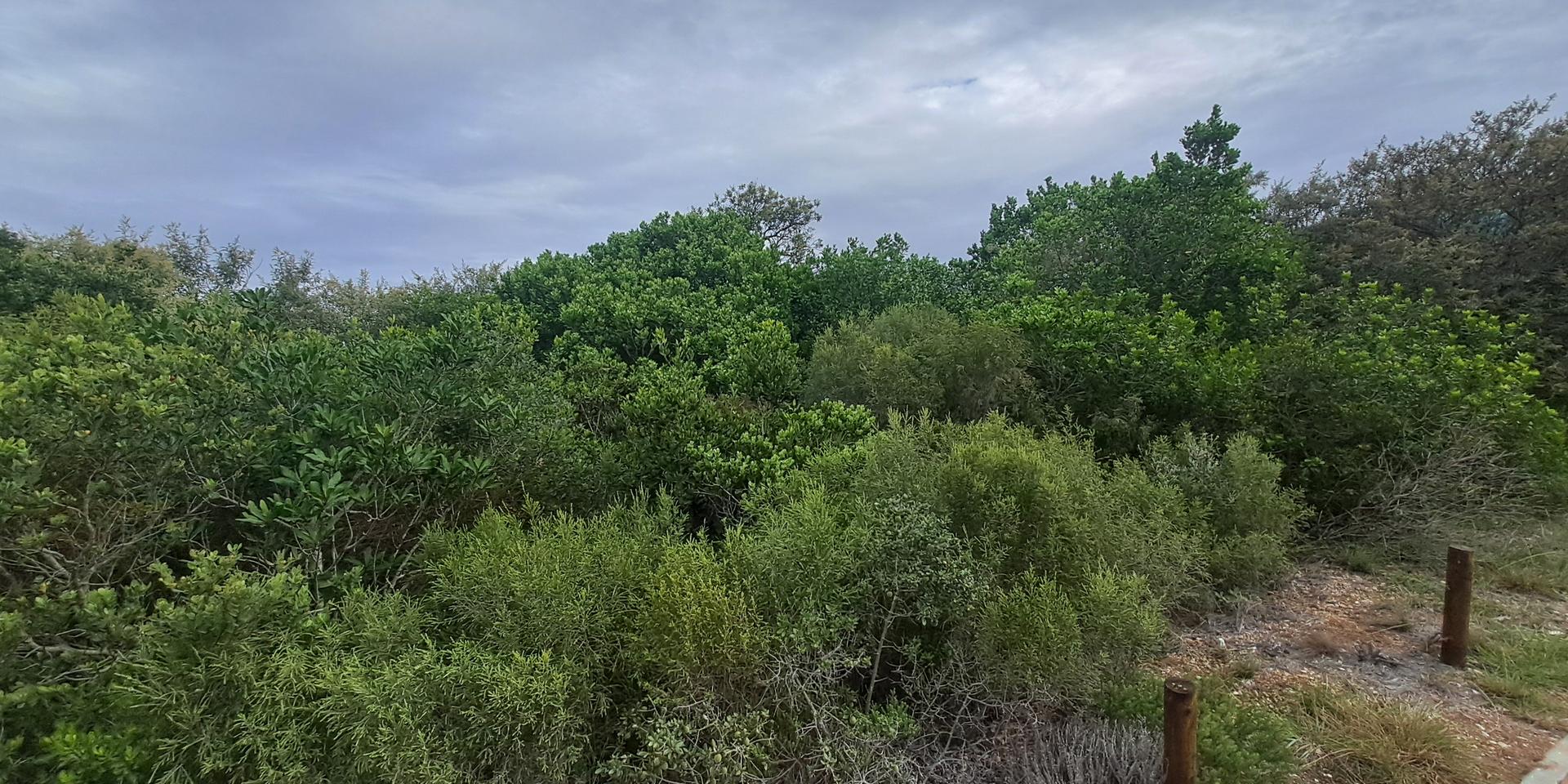 Image 5 of 6