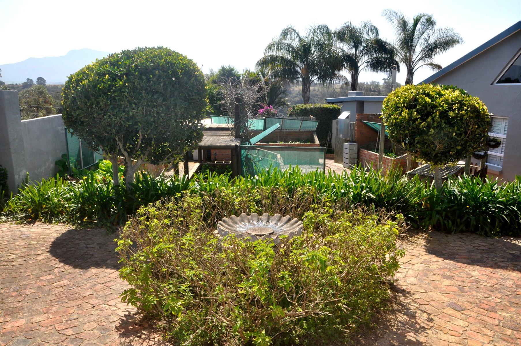 Image 19