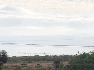 Image 14