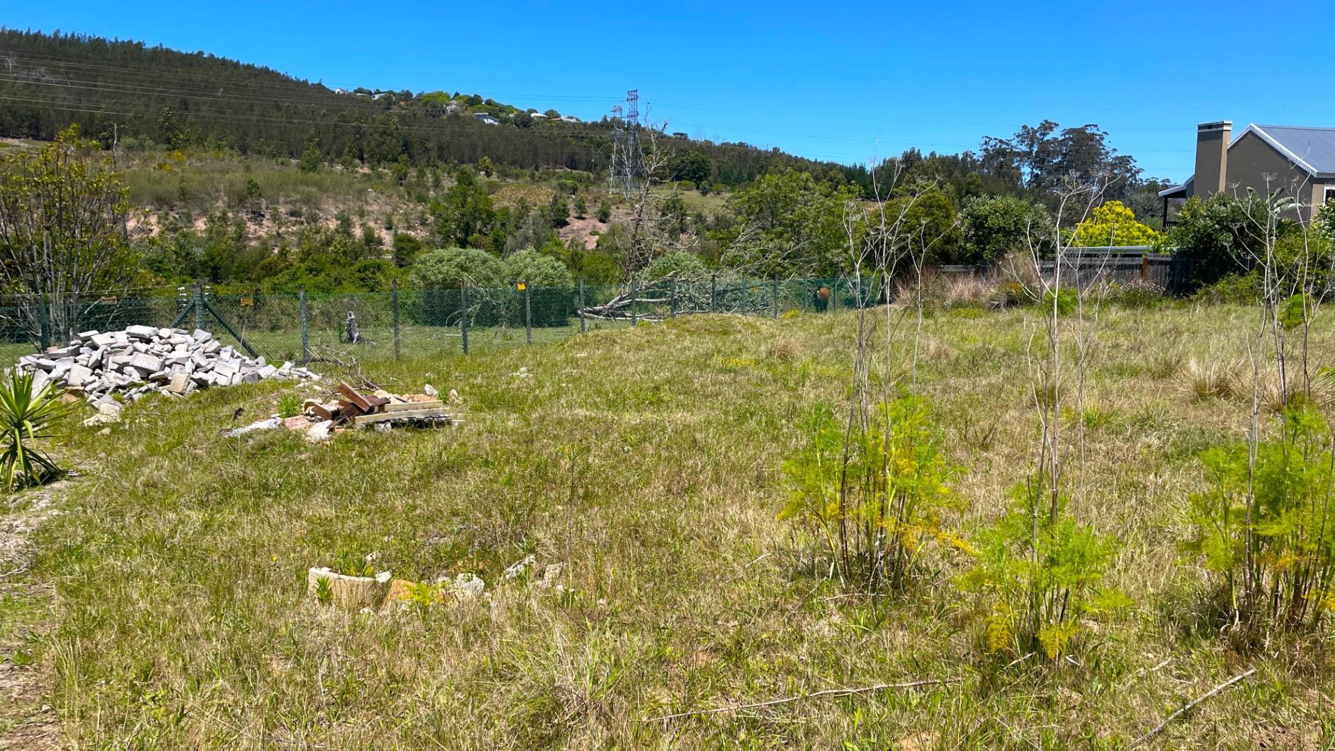 Image 4 of 6