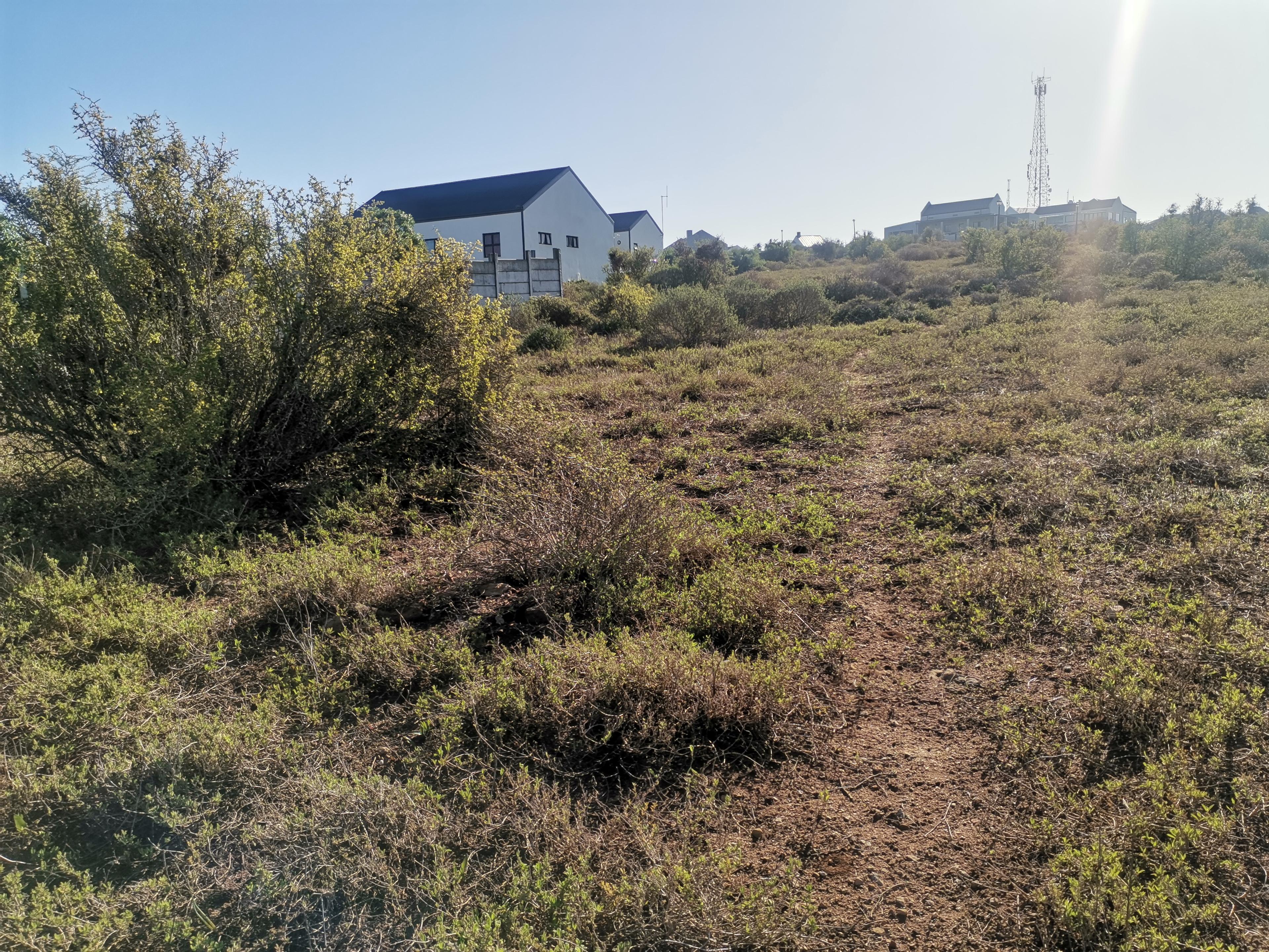 Image 4 of 6