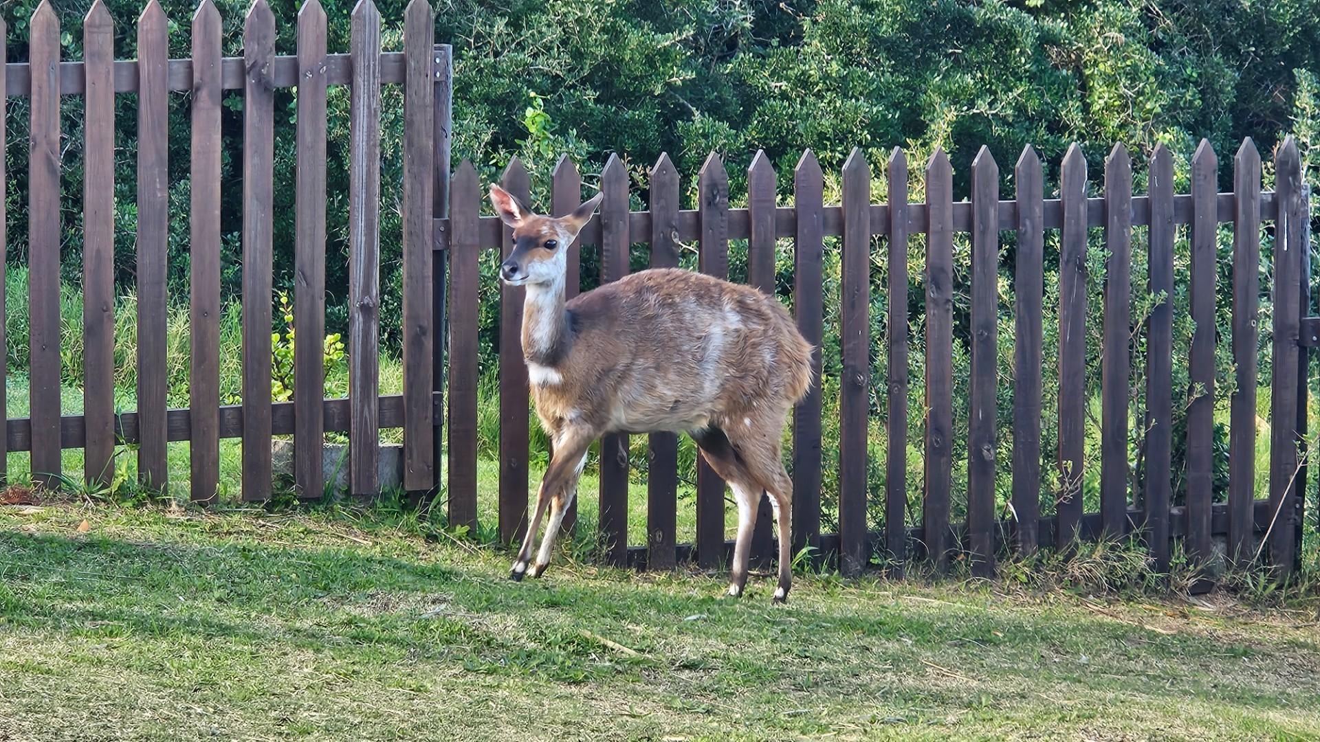 Image 76