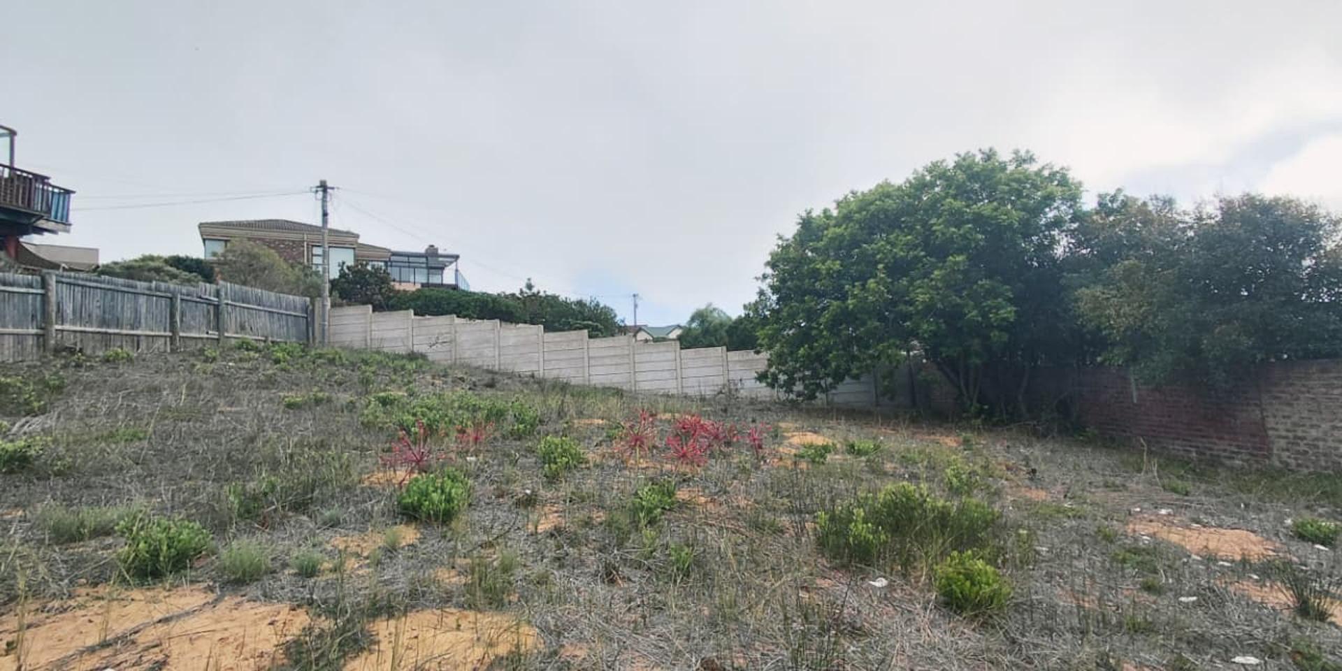 Image 5 of 6