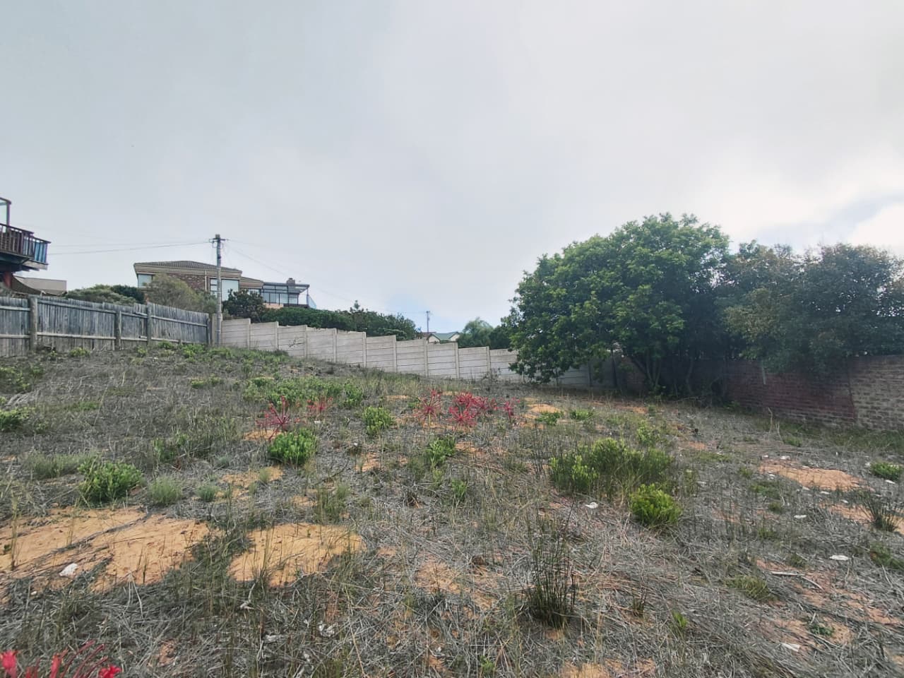 Image 5 of 6