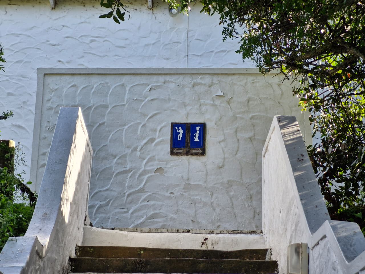 Image 13