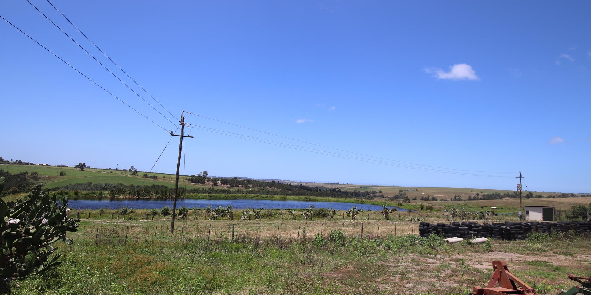 Image 4 of 6