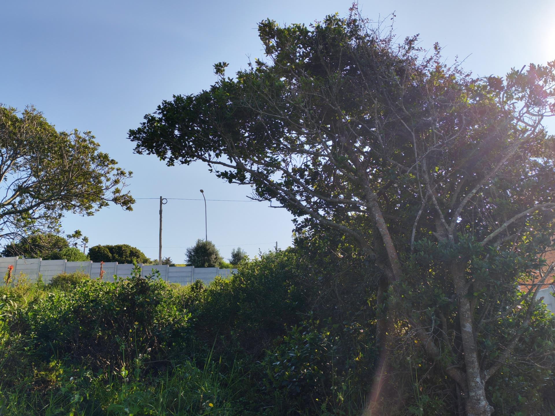 Image 15