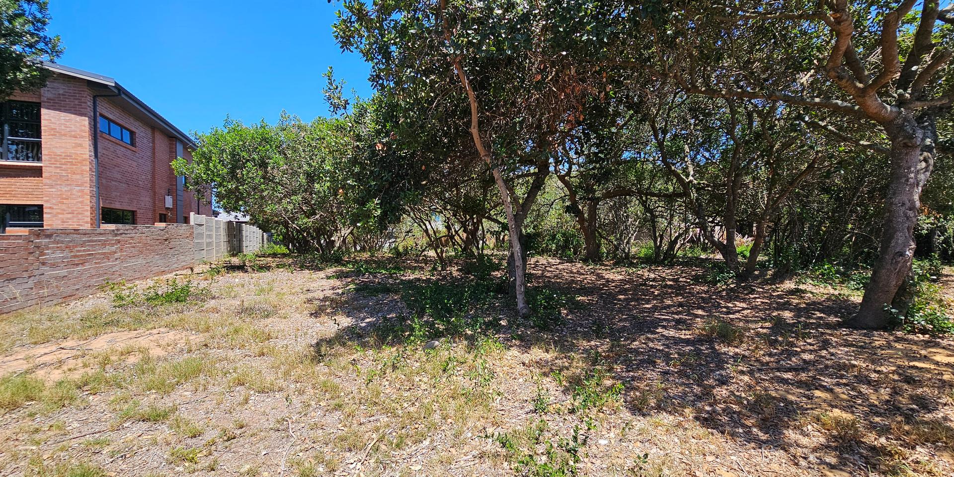 Image 3 of 6