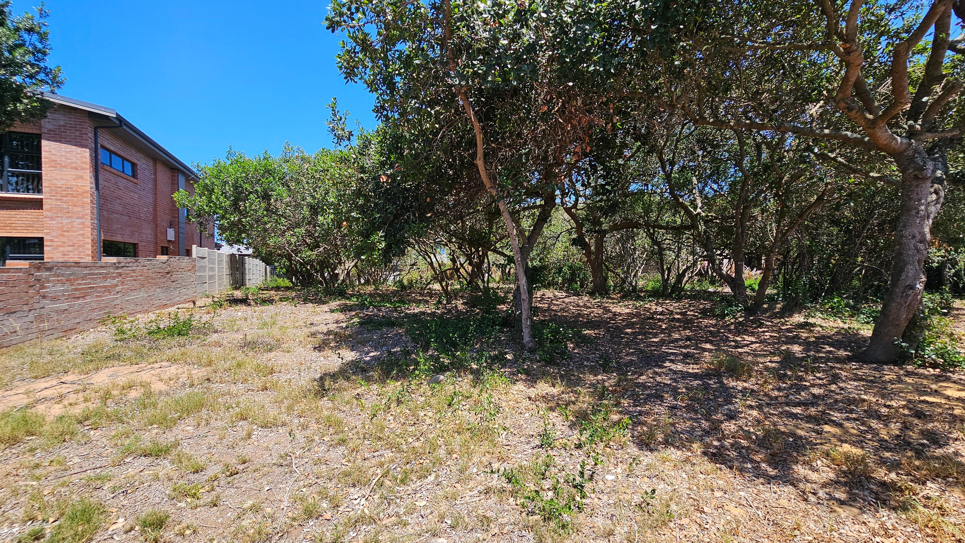 Image 3 of 6