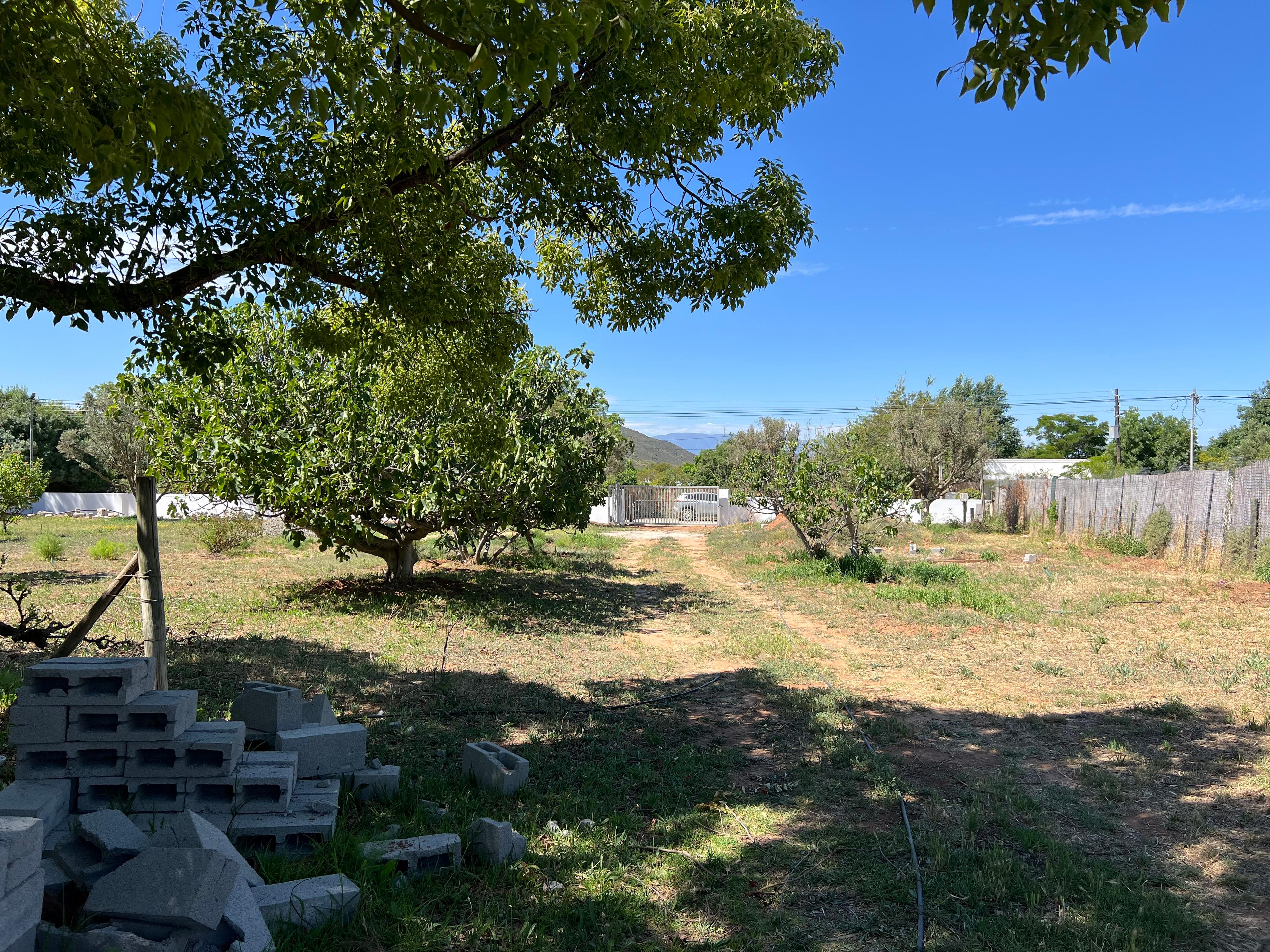 Image 4 of 6