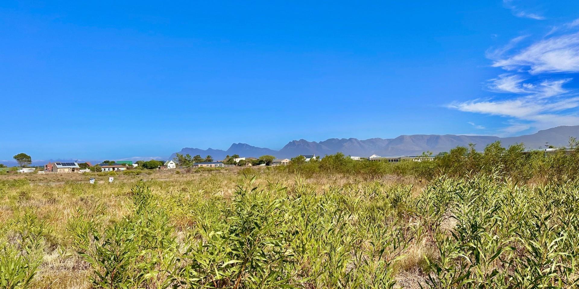 Image 5 of 6