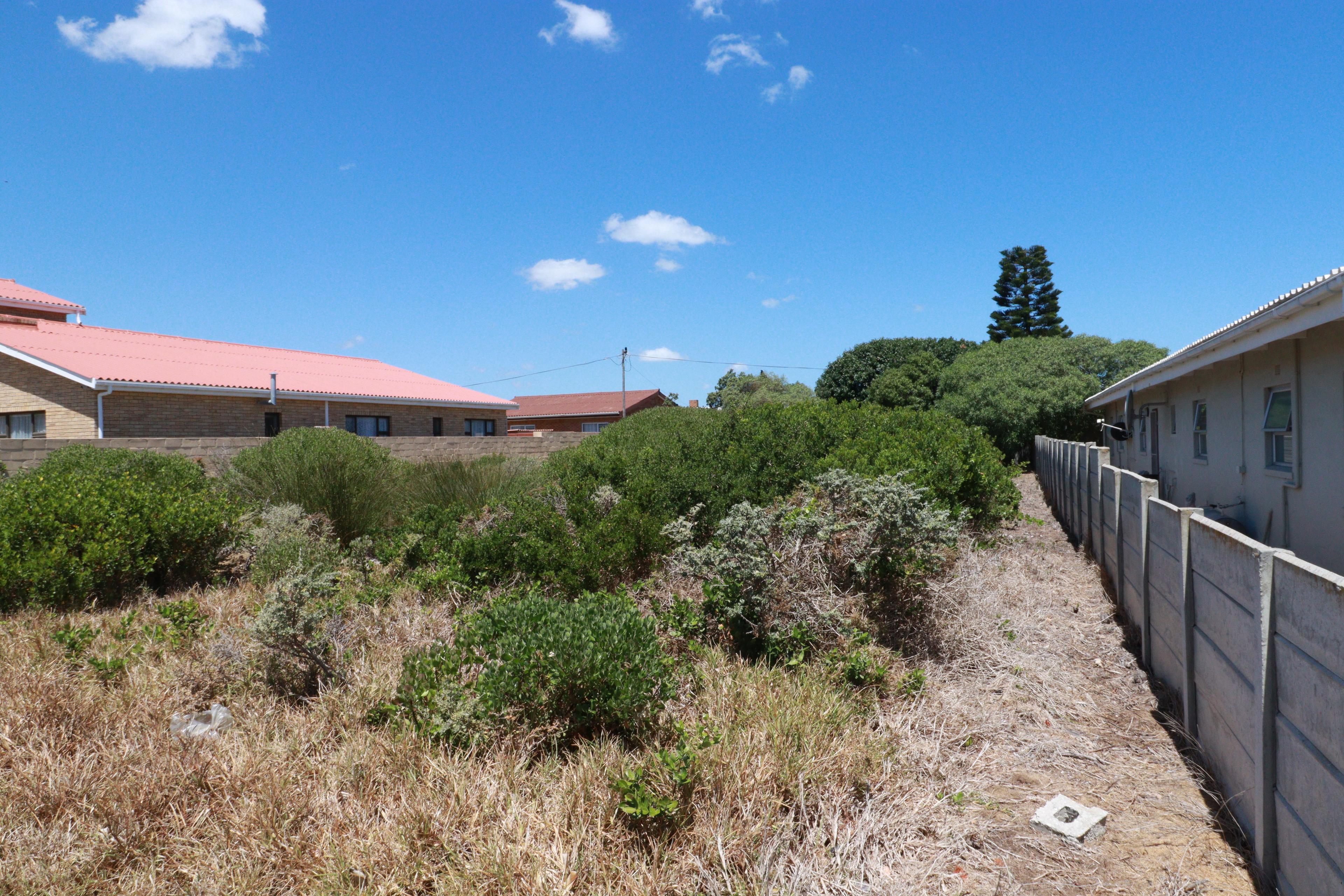 Image 3 of 6