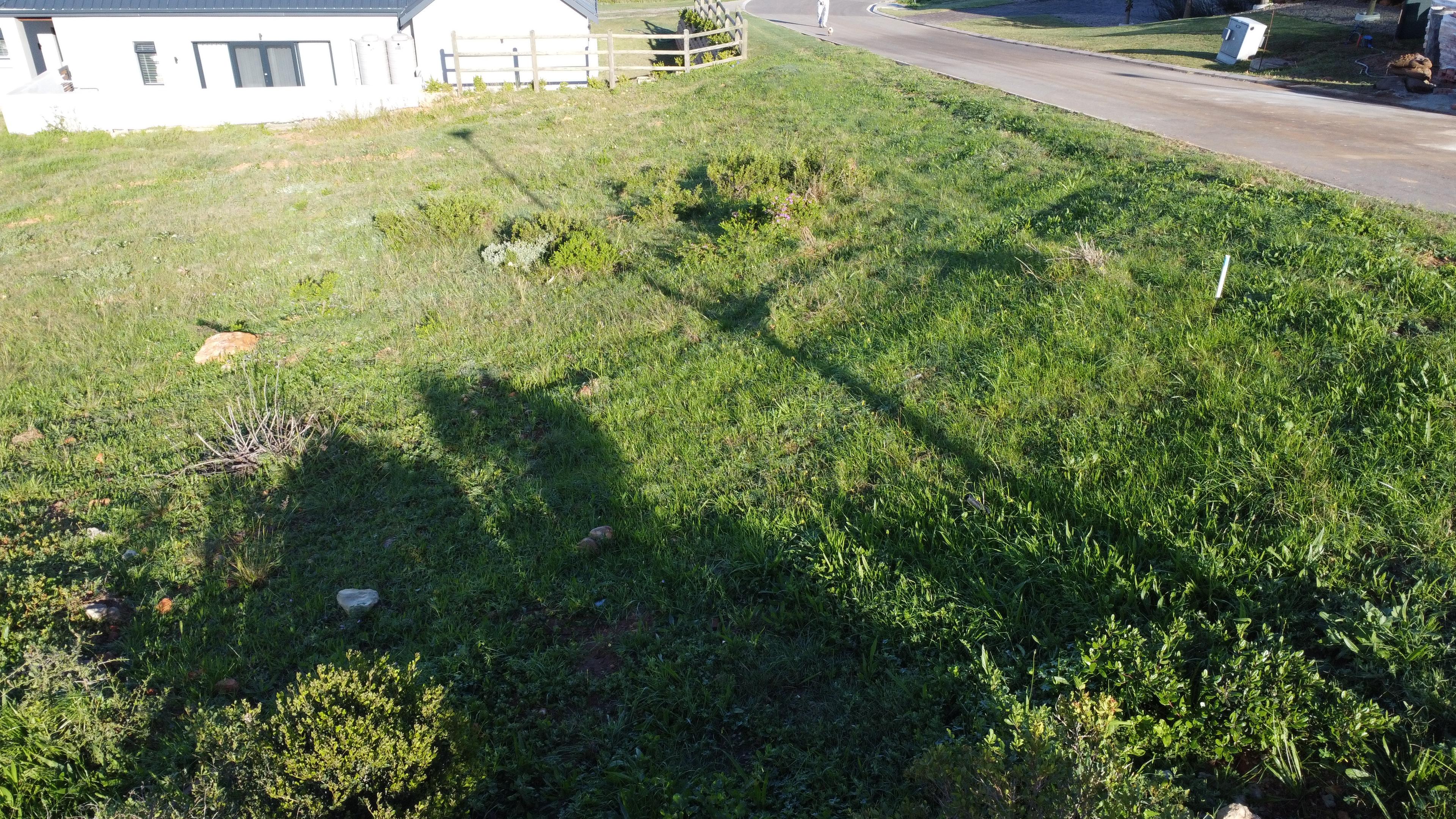 Image 13