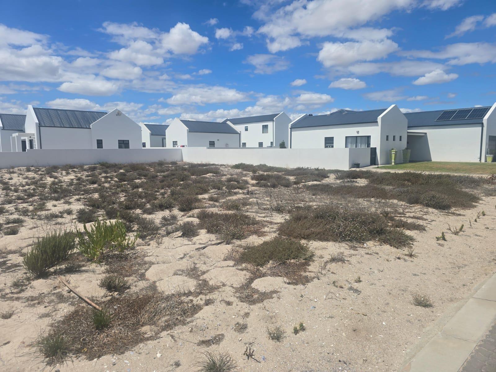 Image 15