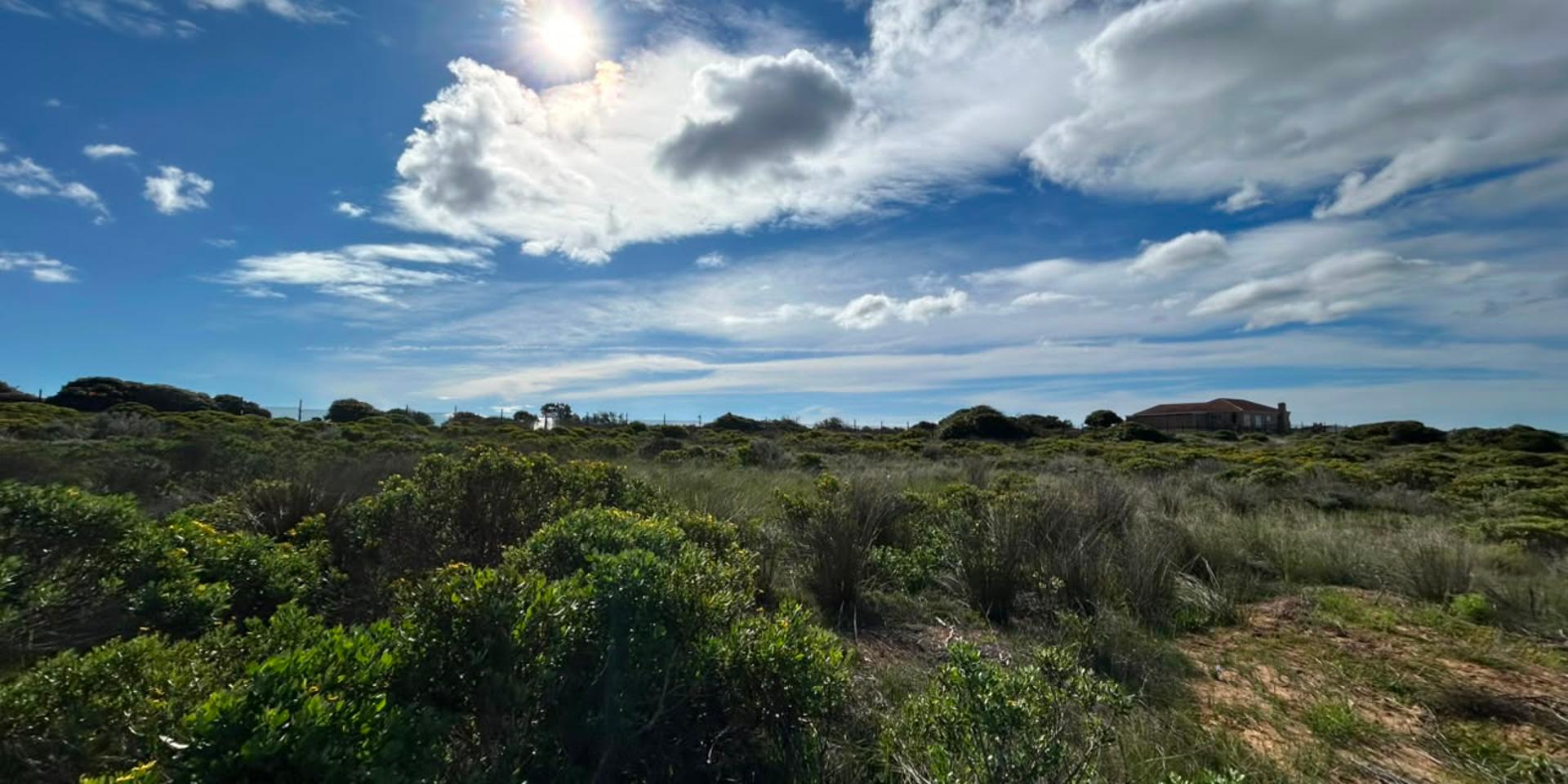 Image 4 of 6