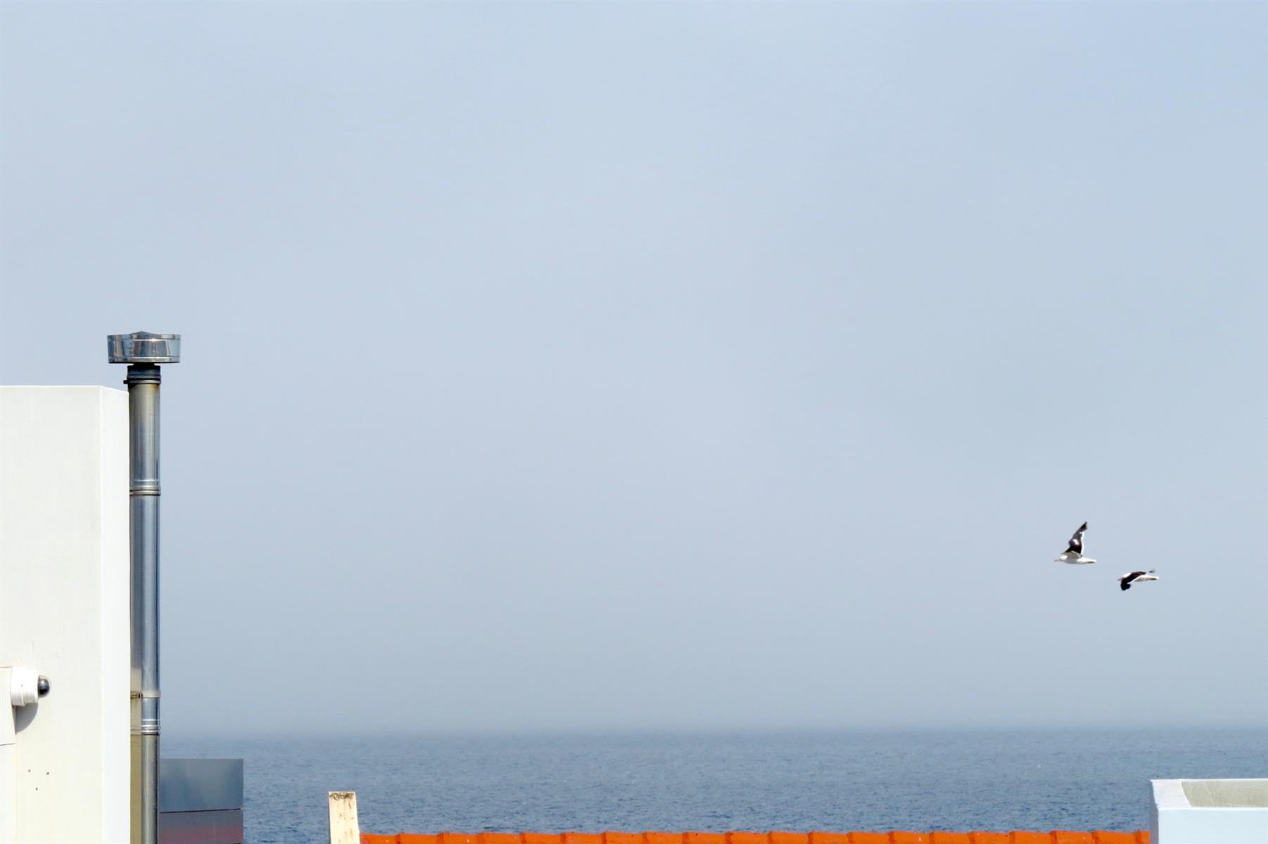 Image 56