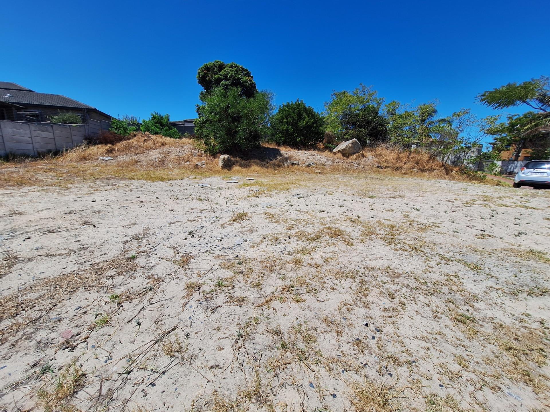 Image 4 of 6