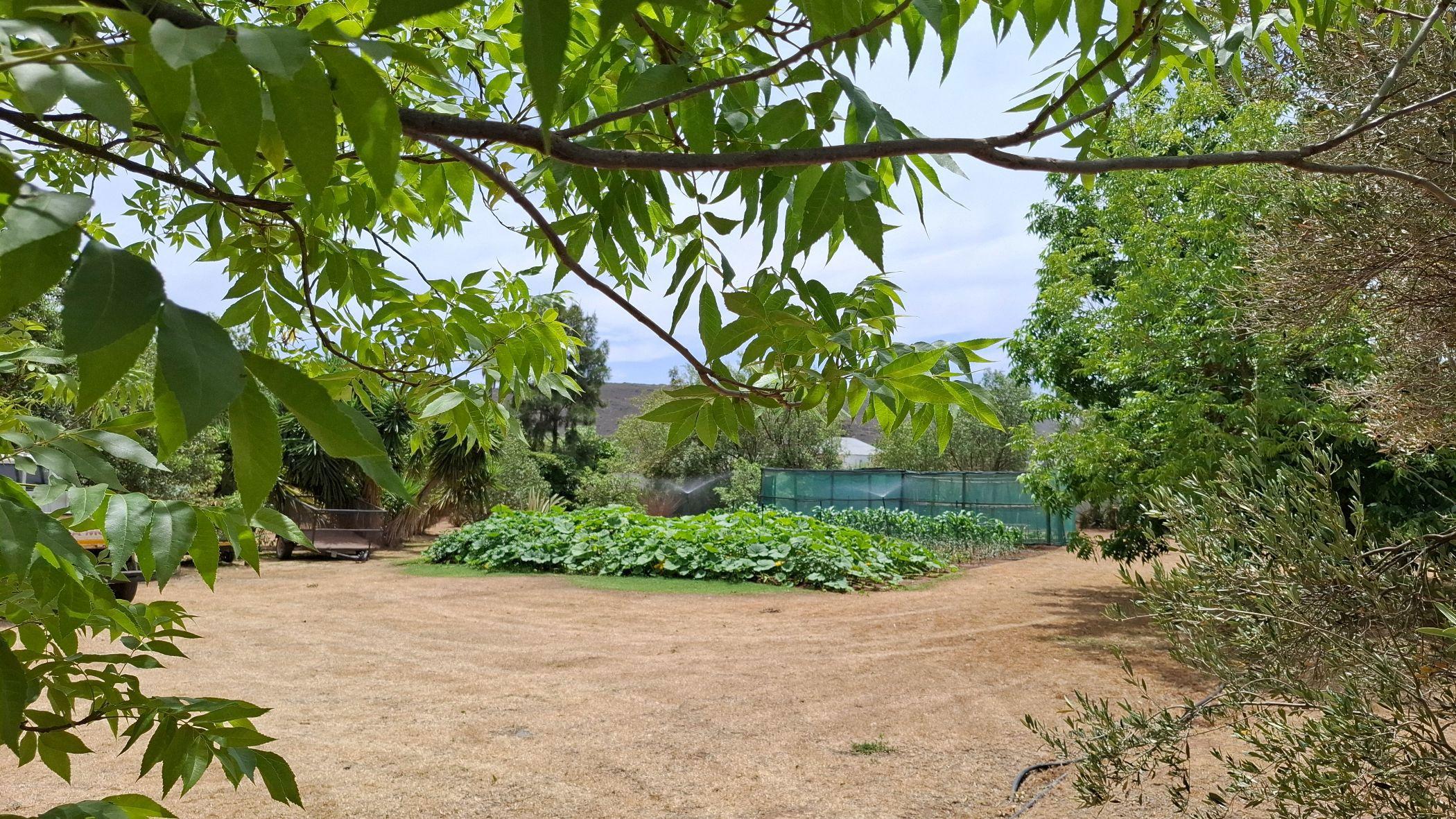 Image 2 of 6