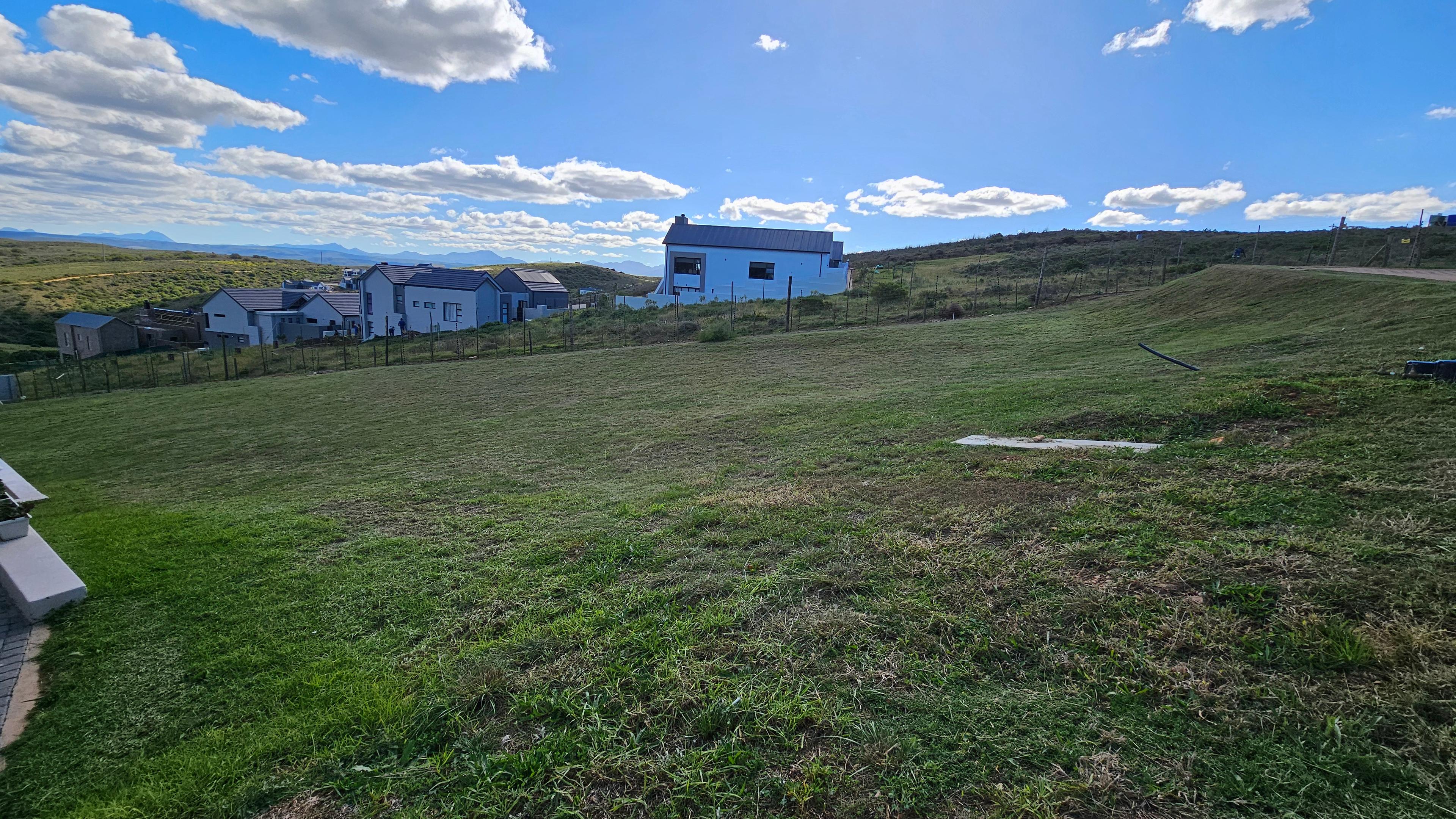 Image 14