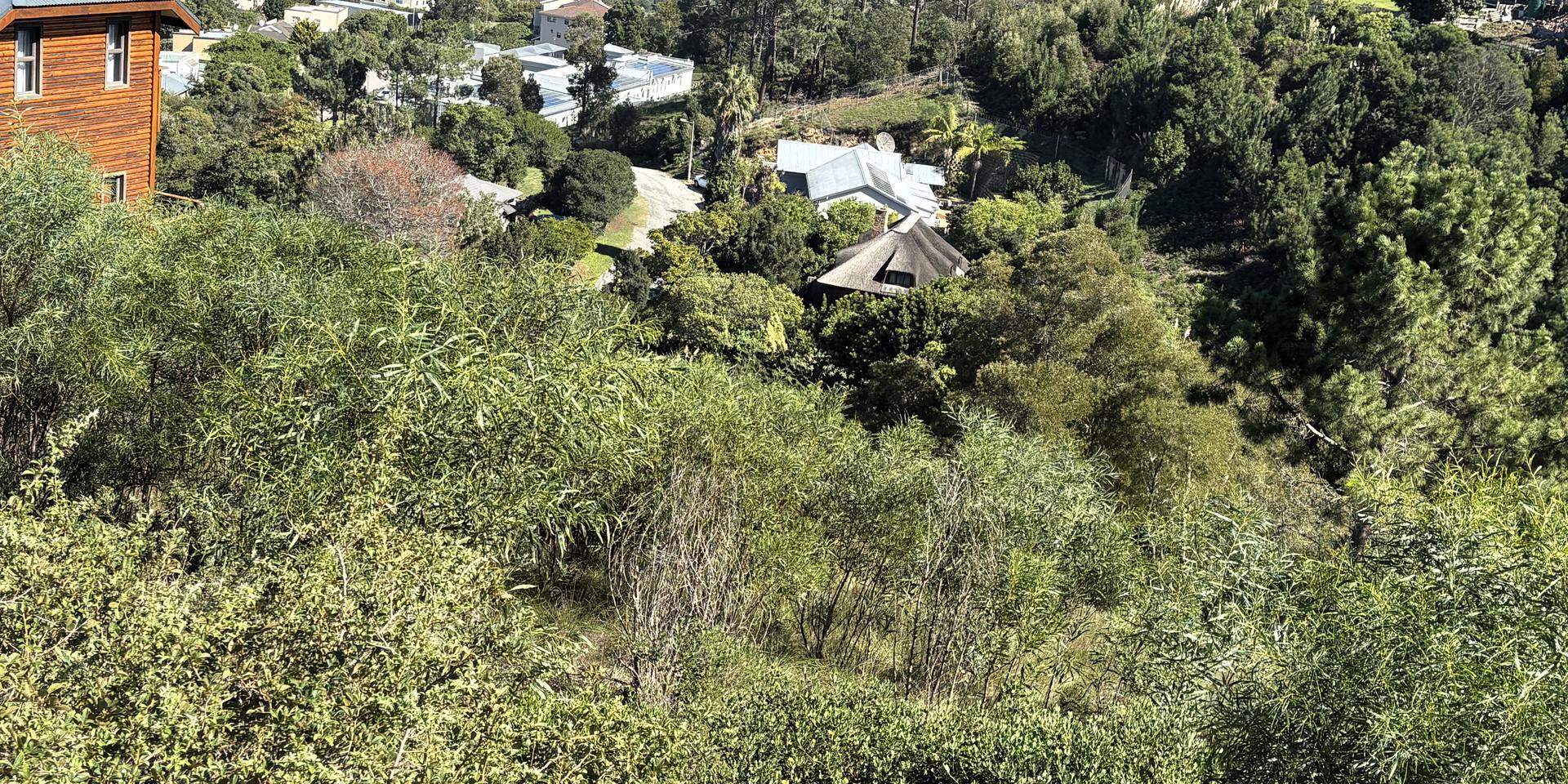 Image 2 of 6