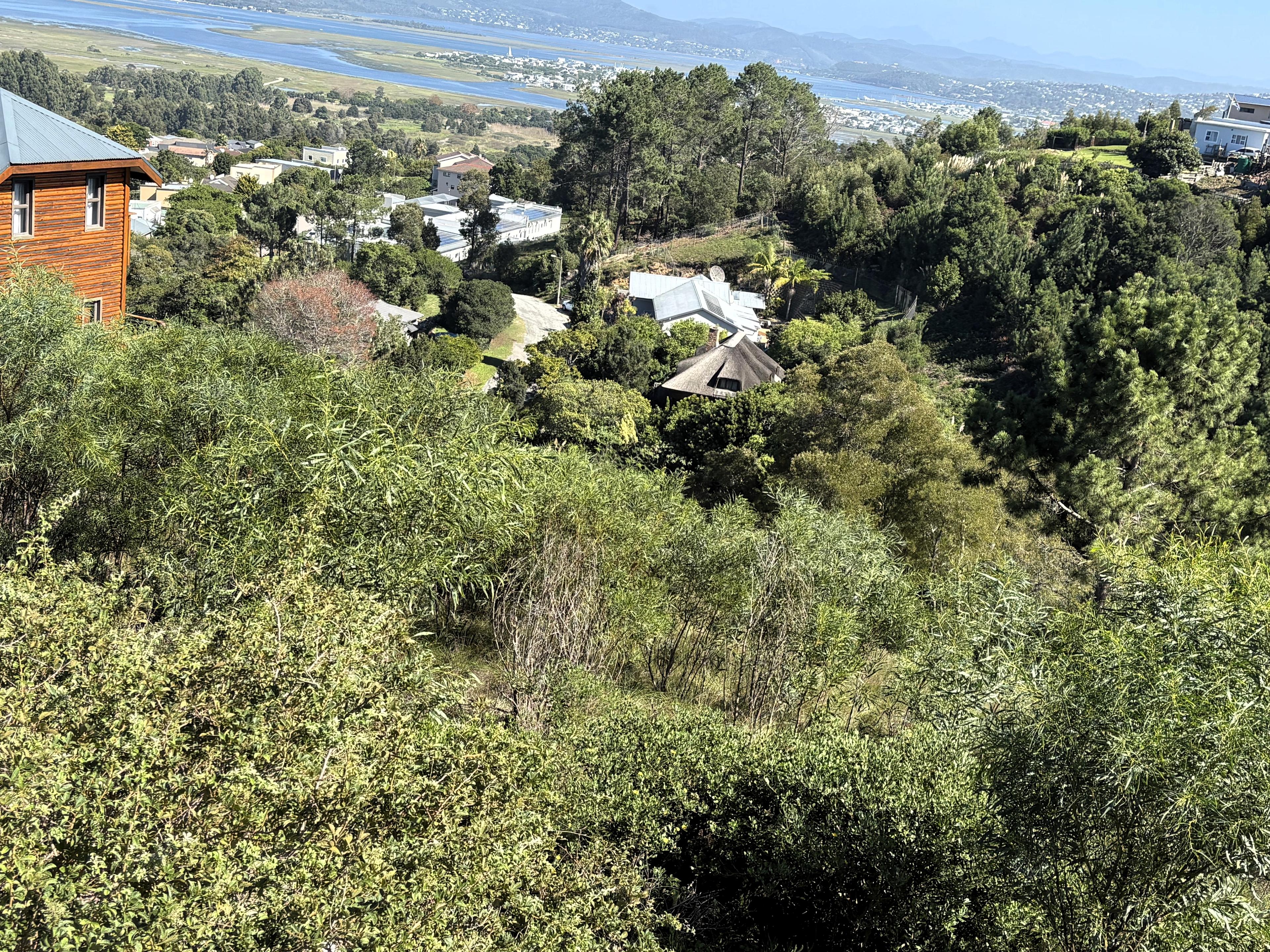 Image 2 of 6