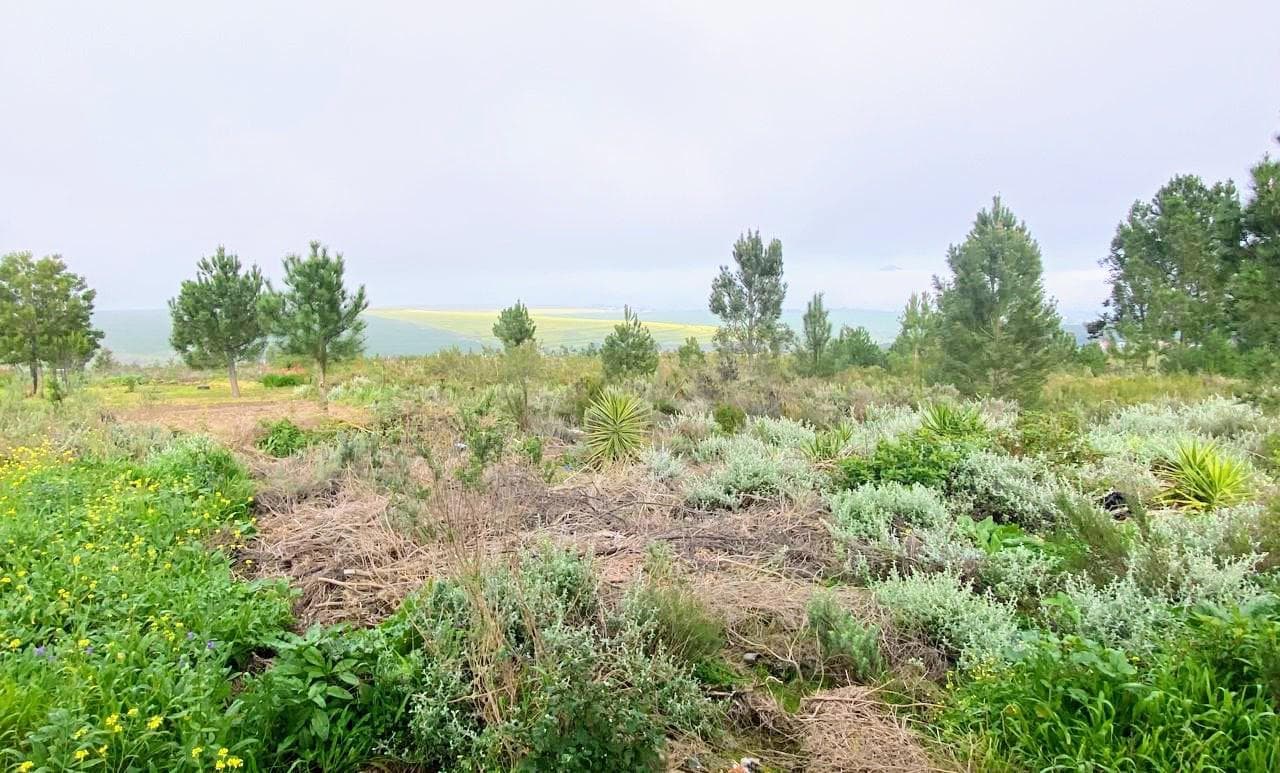Image 14