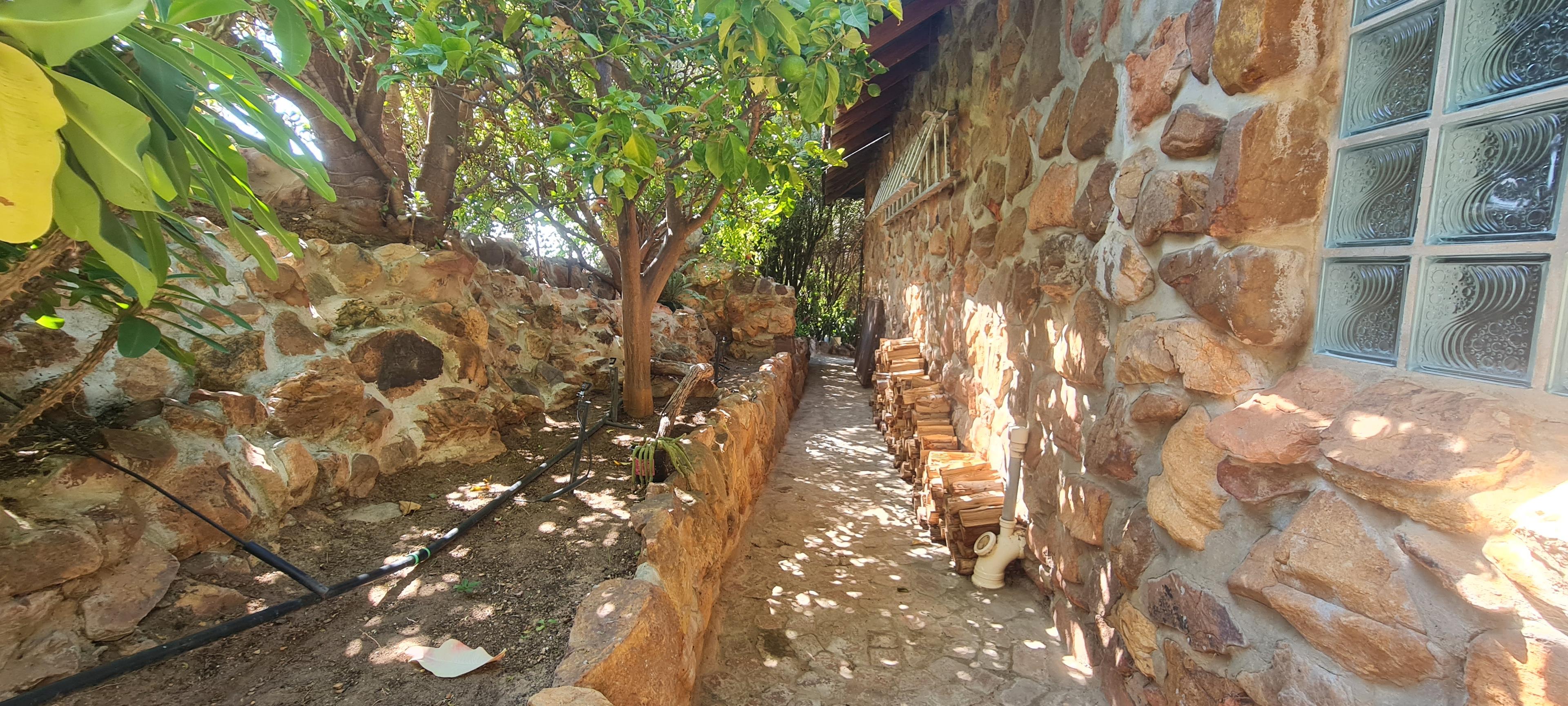 Image 21