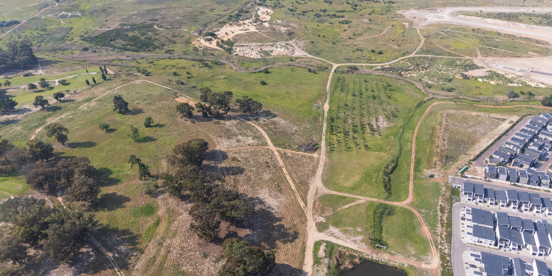 Image 4 of 6