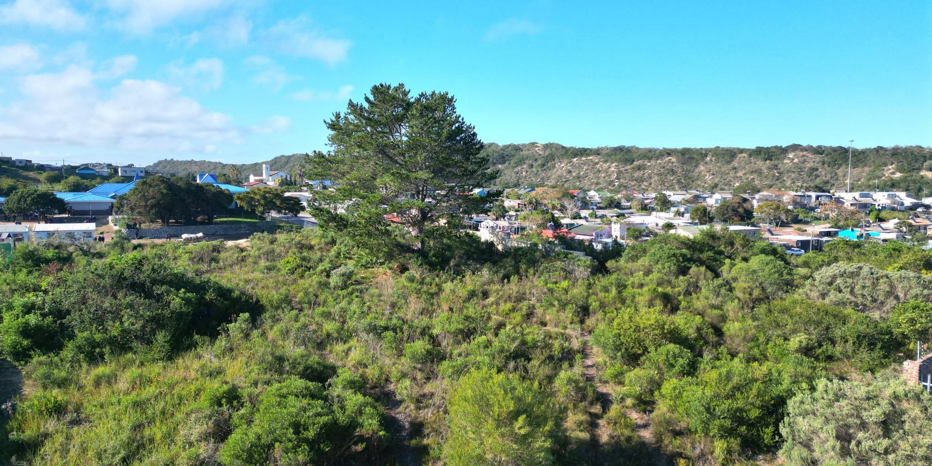 Image 2 of 6