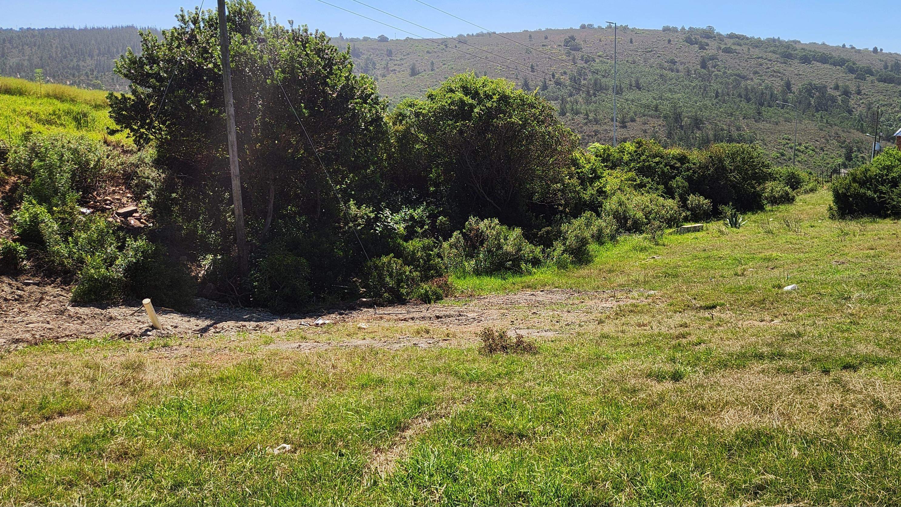 Image 5 of 6