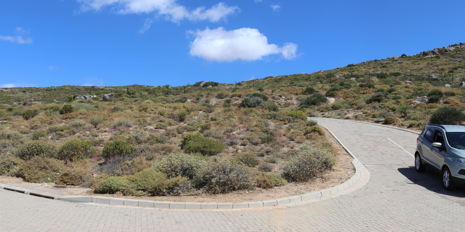 Image 4 of 6
