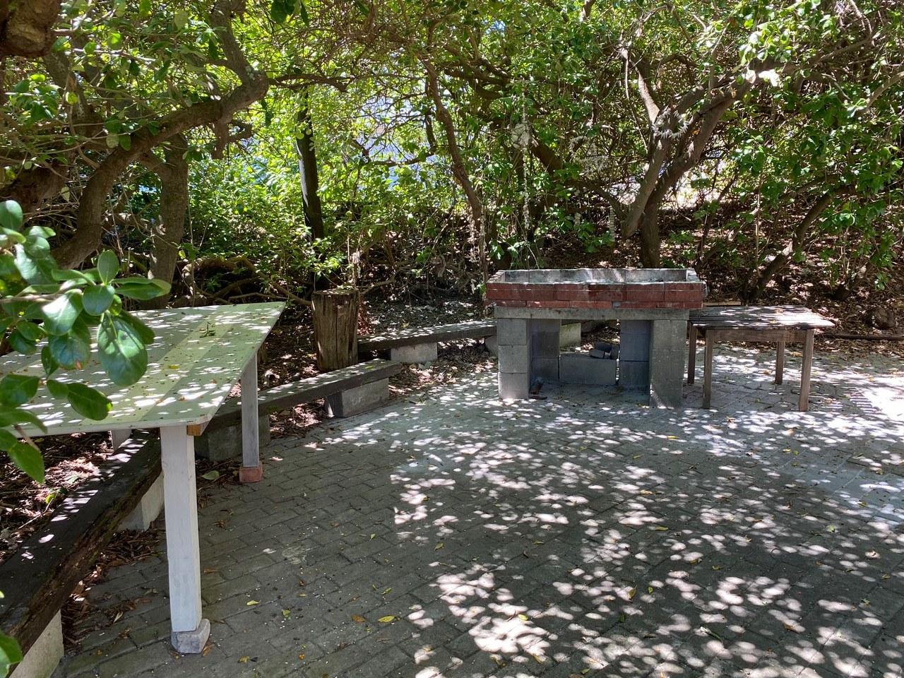Image 4 of 6