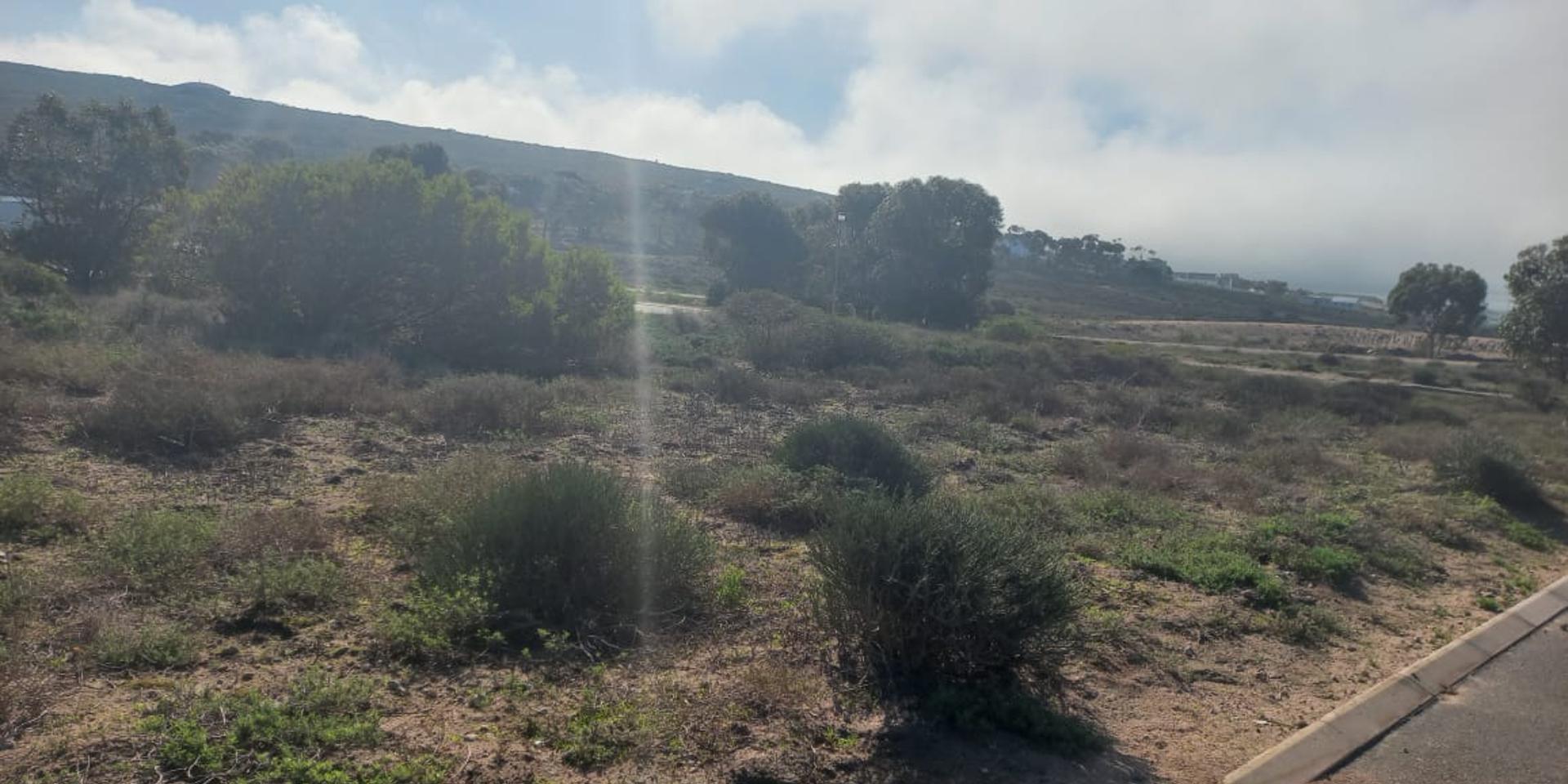 Image 2 of 6