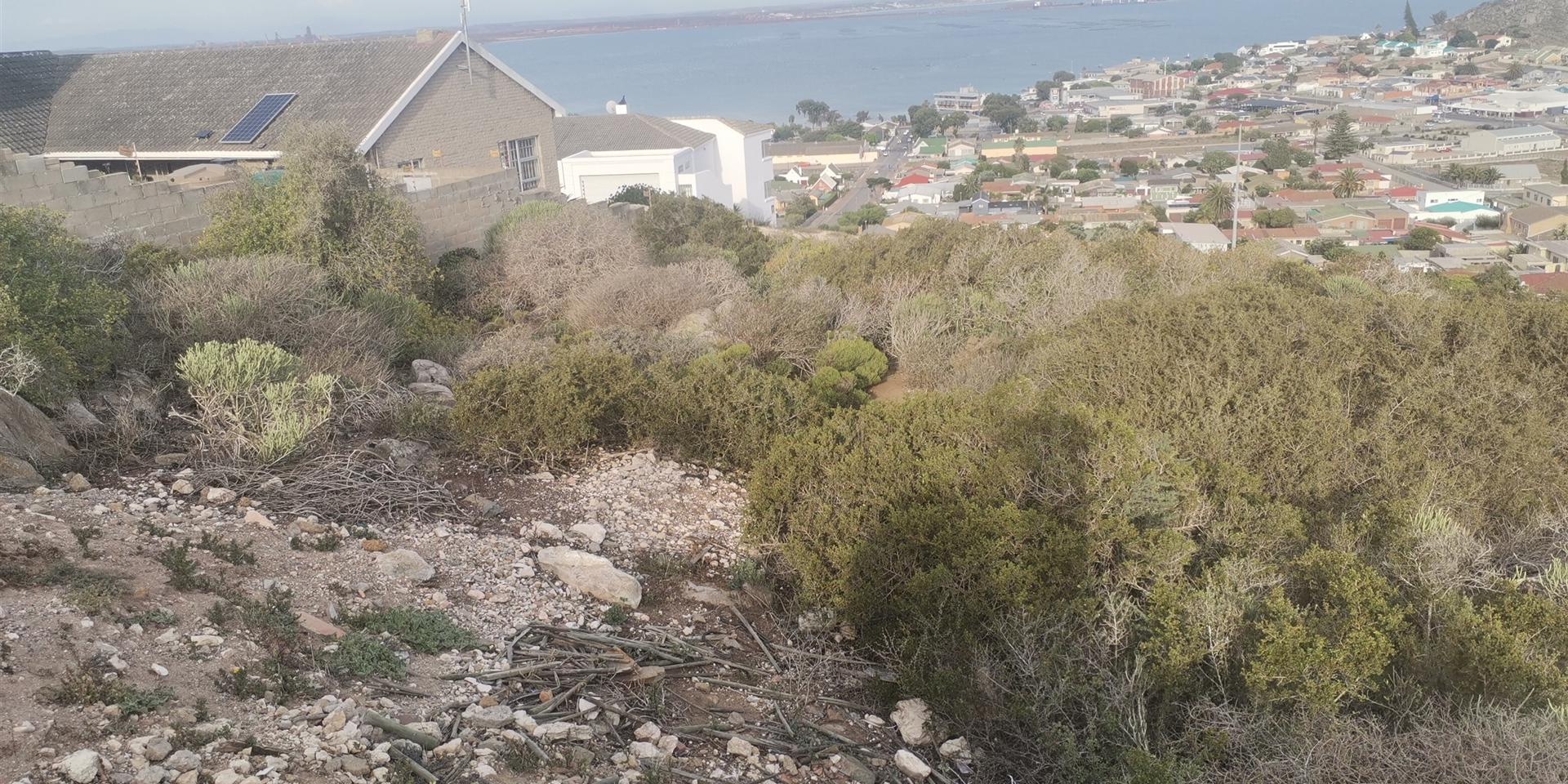 Image 4 of 6
