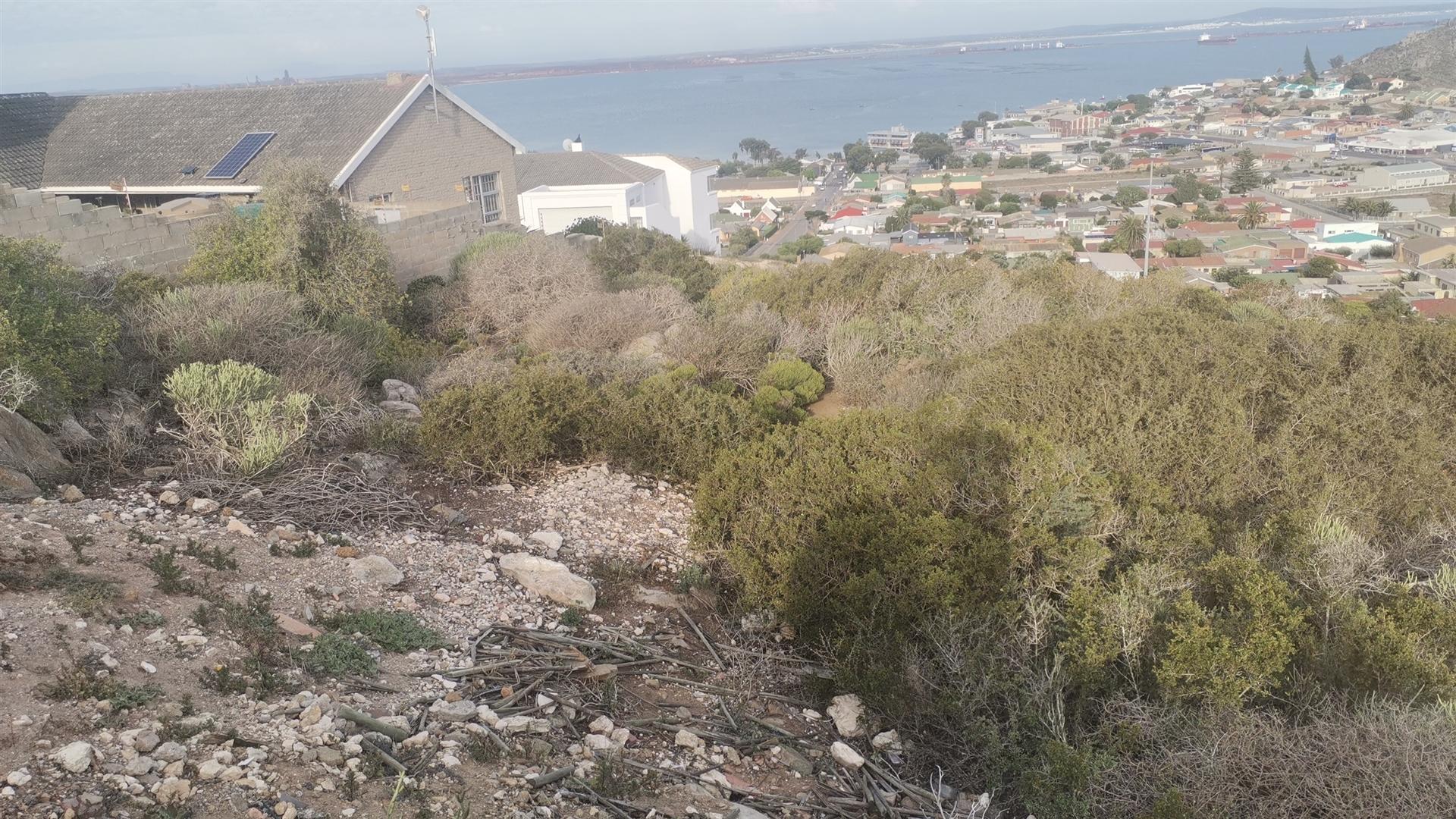 Image 4 of 6
