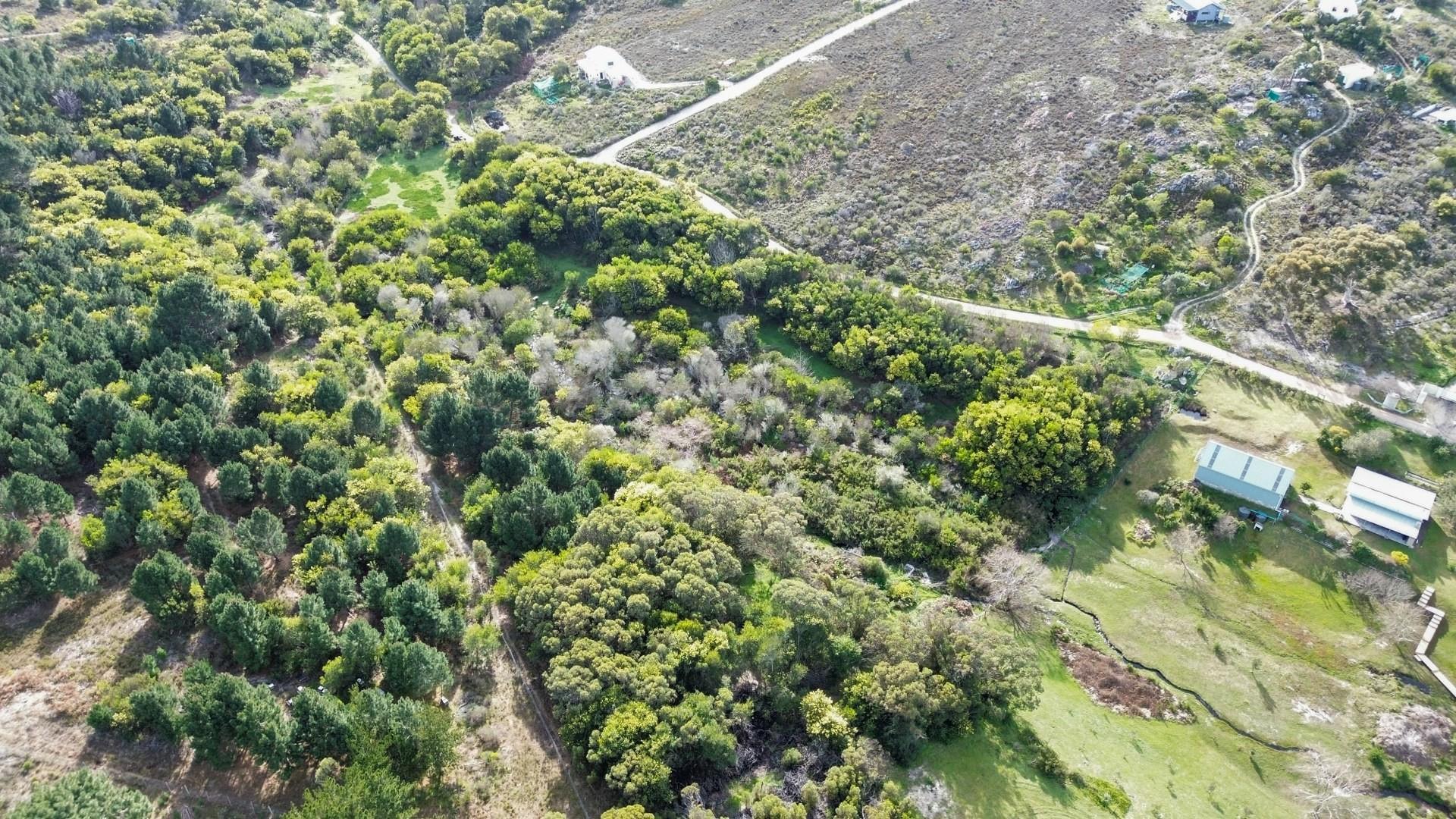 Image 4 of 6