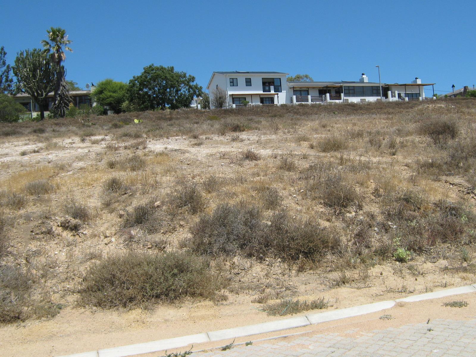 Image 12
