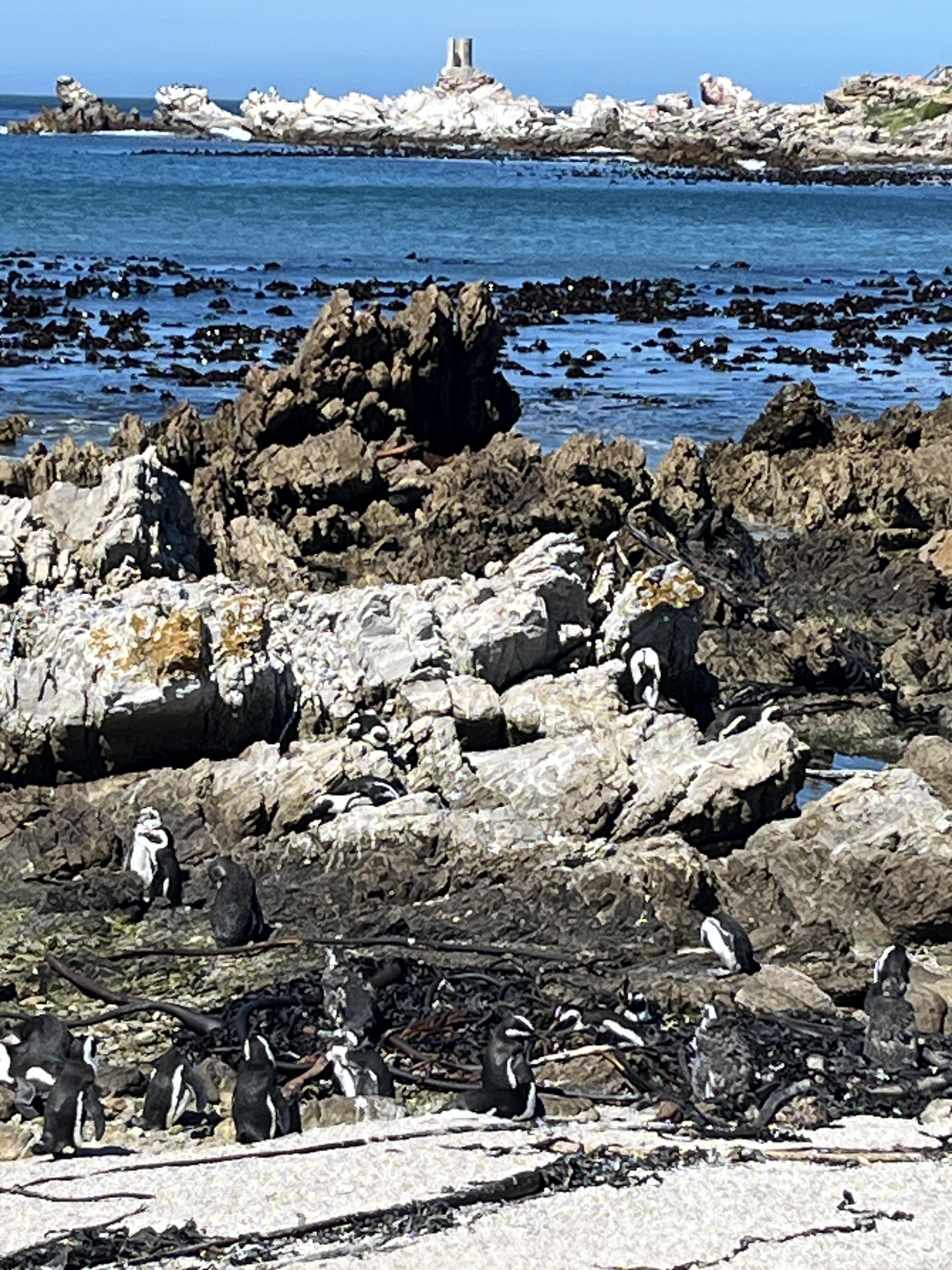 Image 31