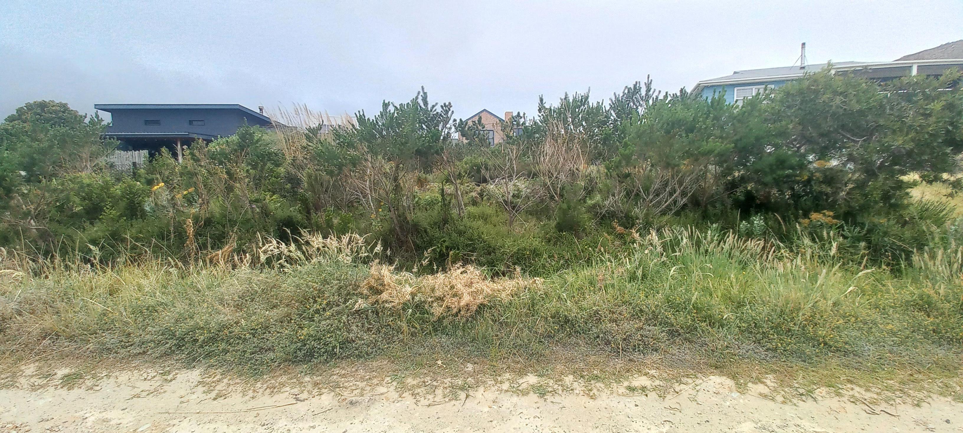 Image 9