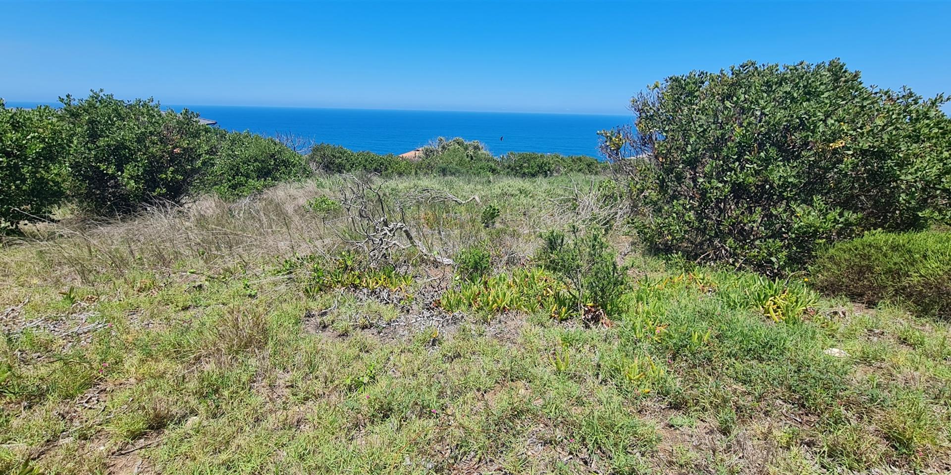 Image 4 of 6