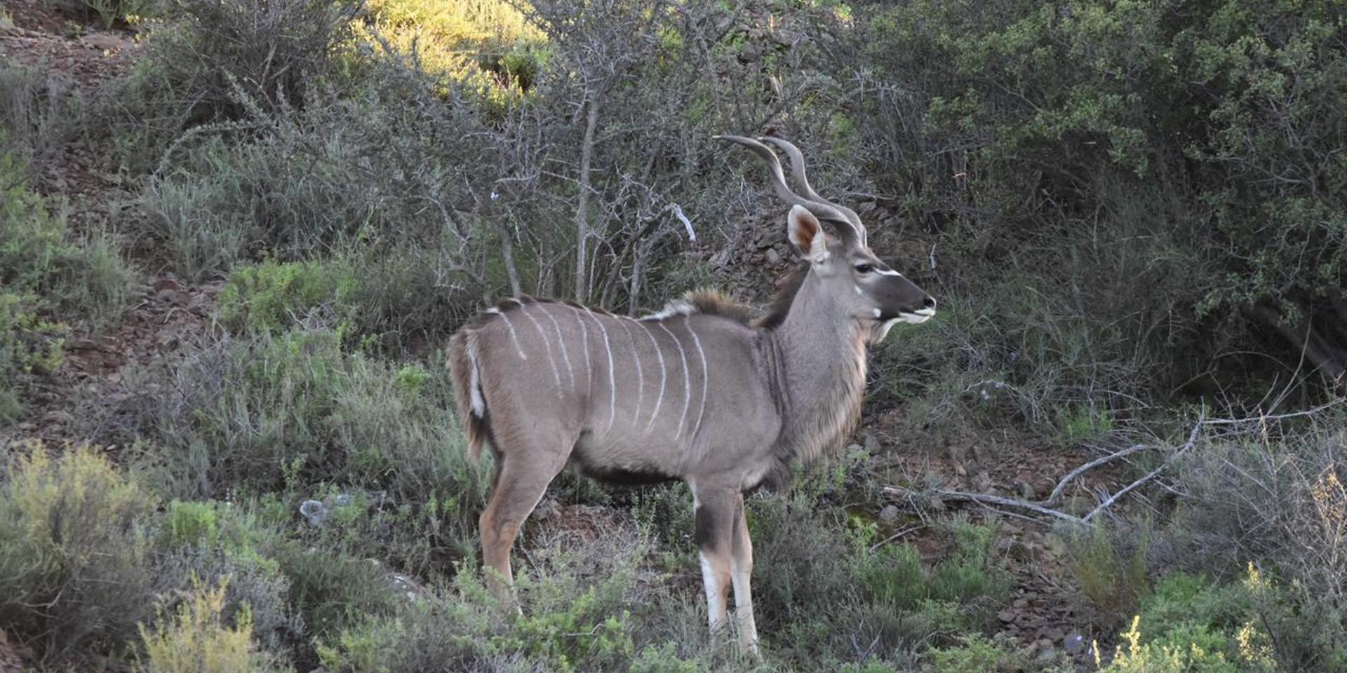 Image 4 of 6