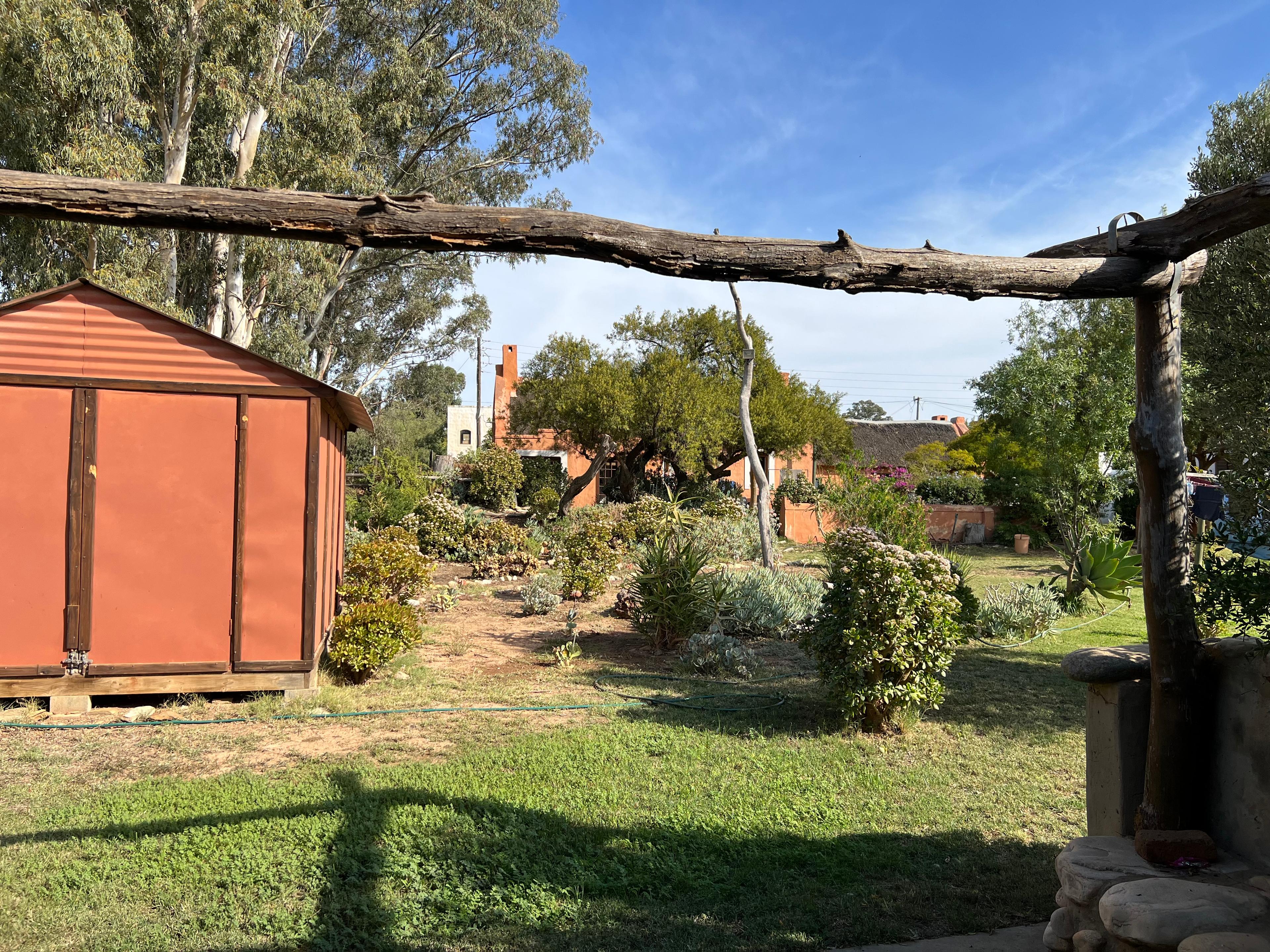 Image 46
