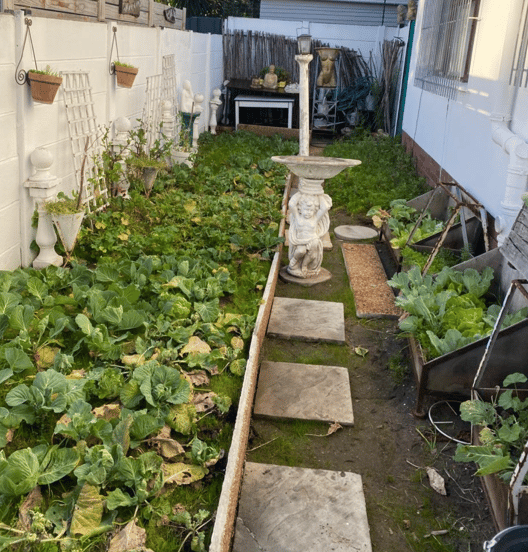 Image 13