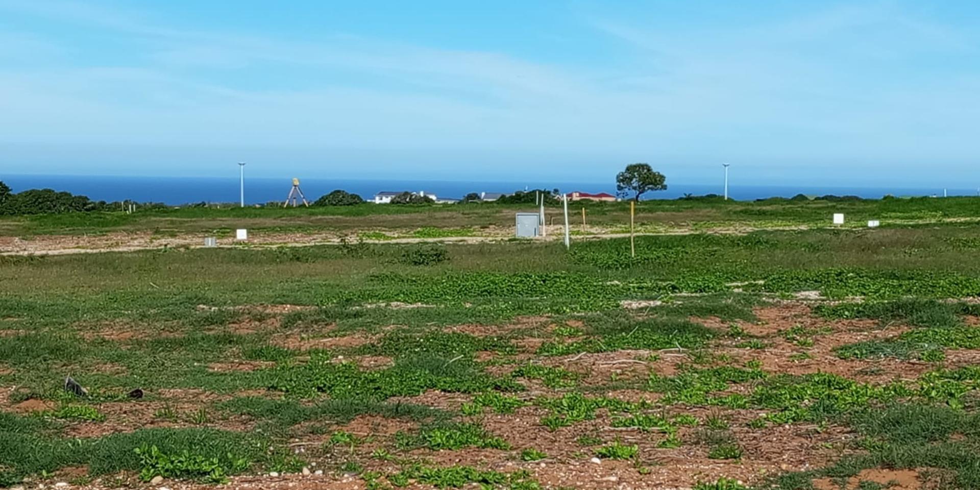 Image 5 of 6